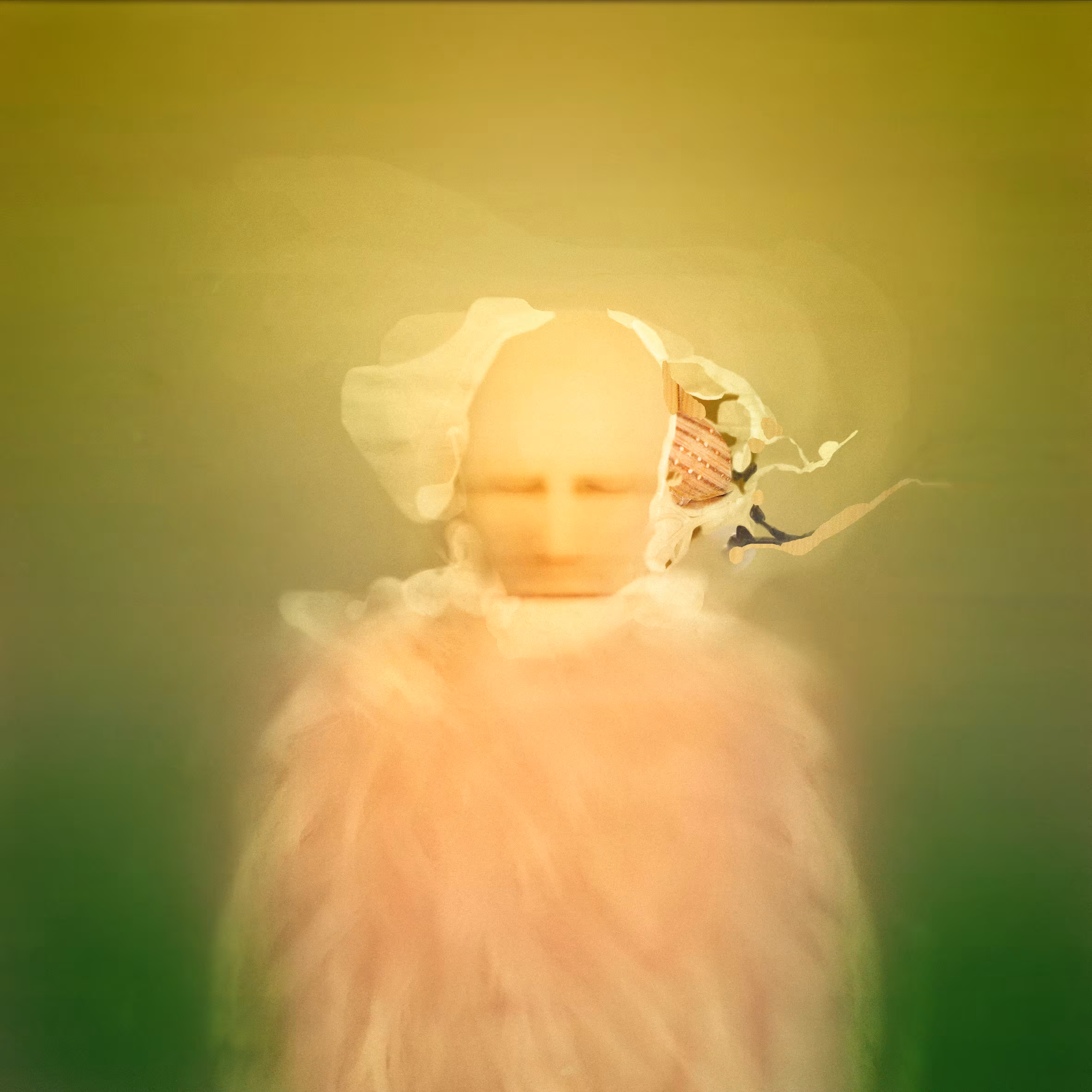Untitled ( From Head Serie )