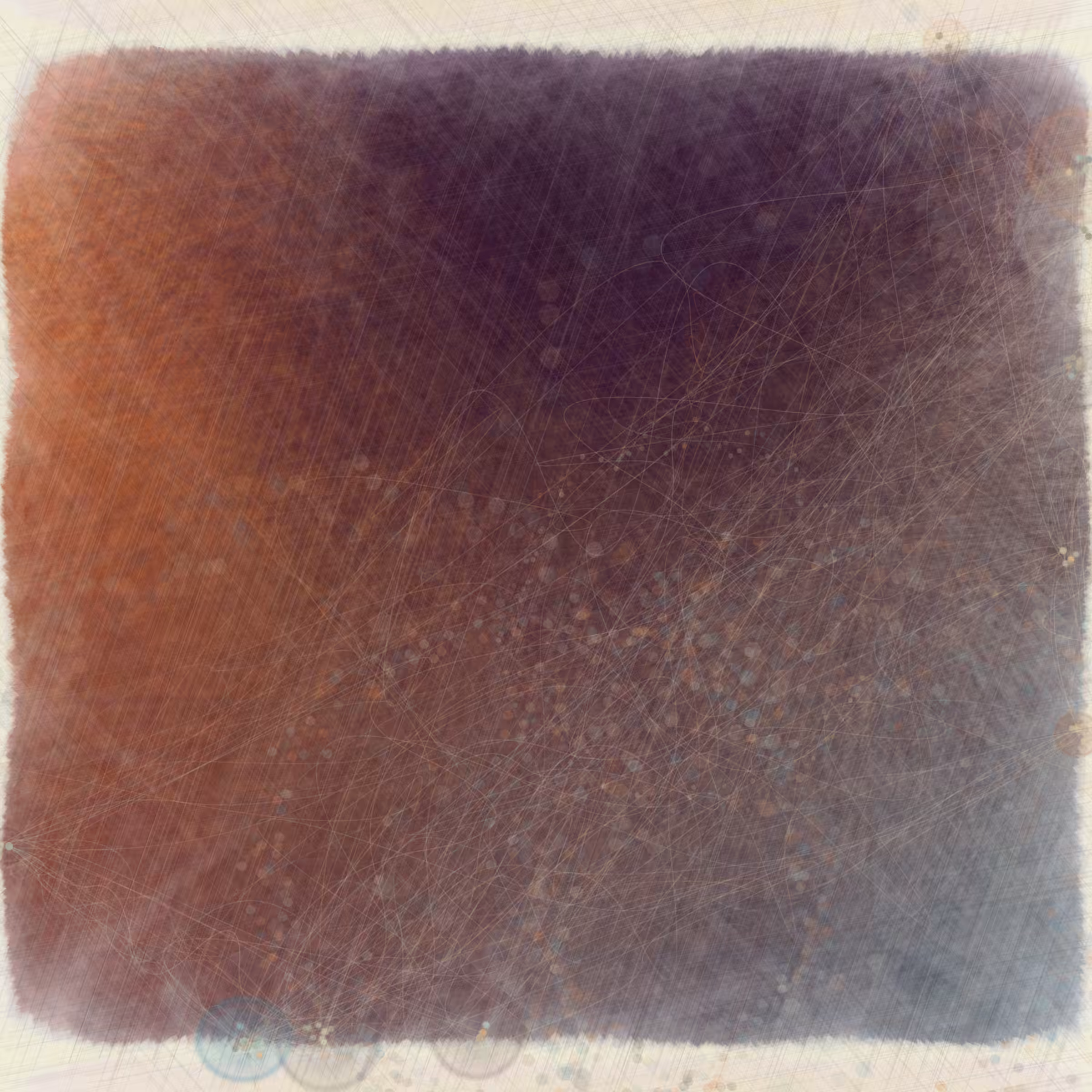 Reticulum
