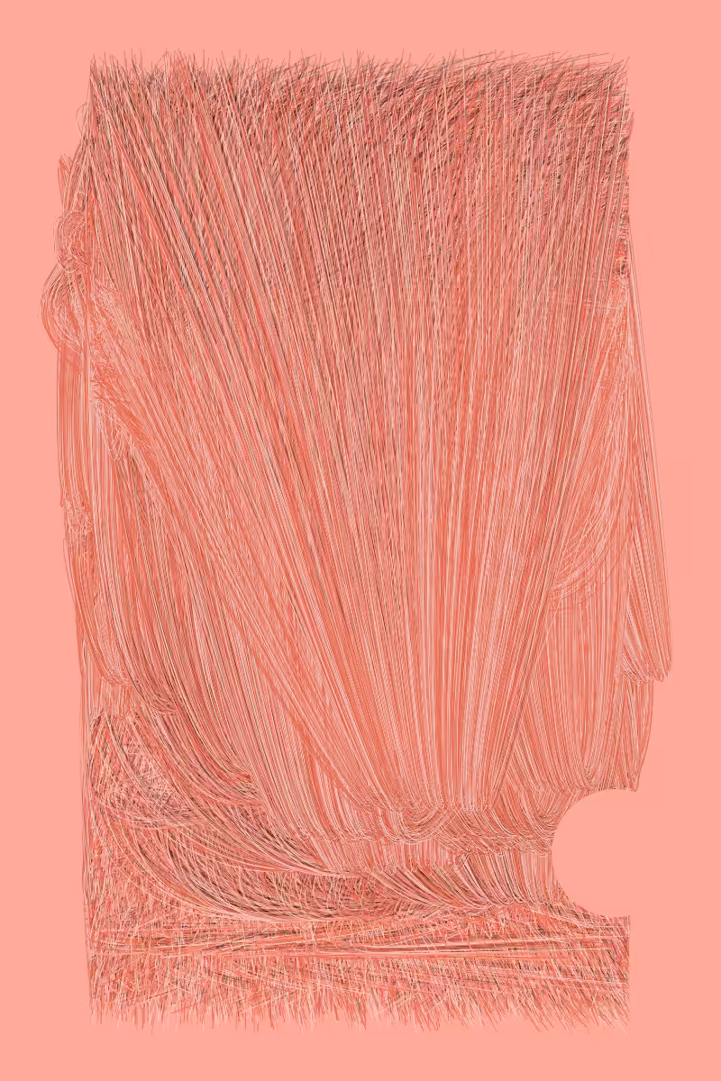 Brush Head #46