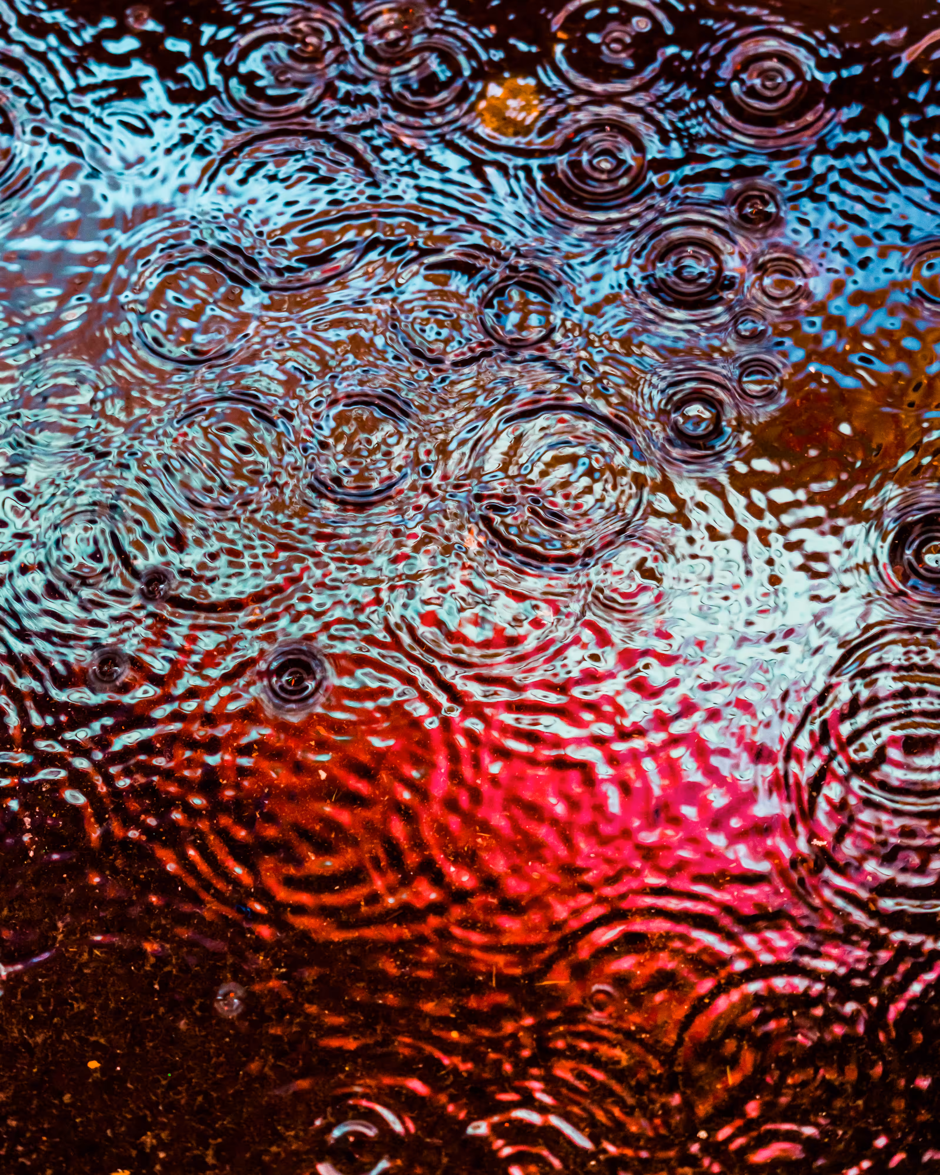DRIP DROP: DRIP #681