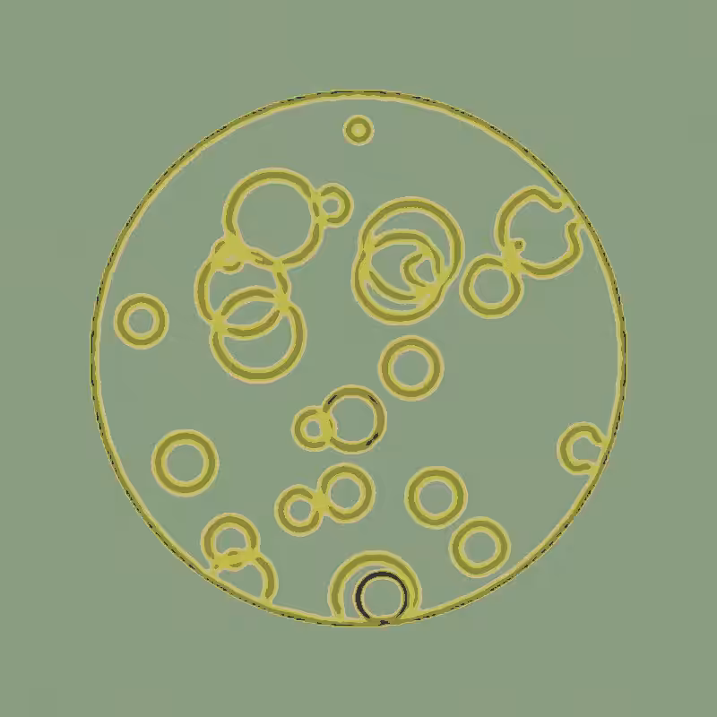 Cheap Petri Dish #39