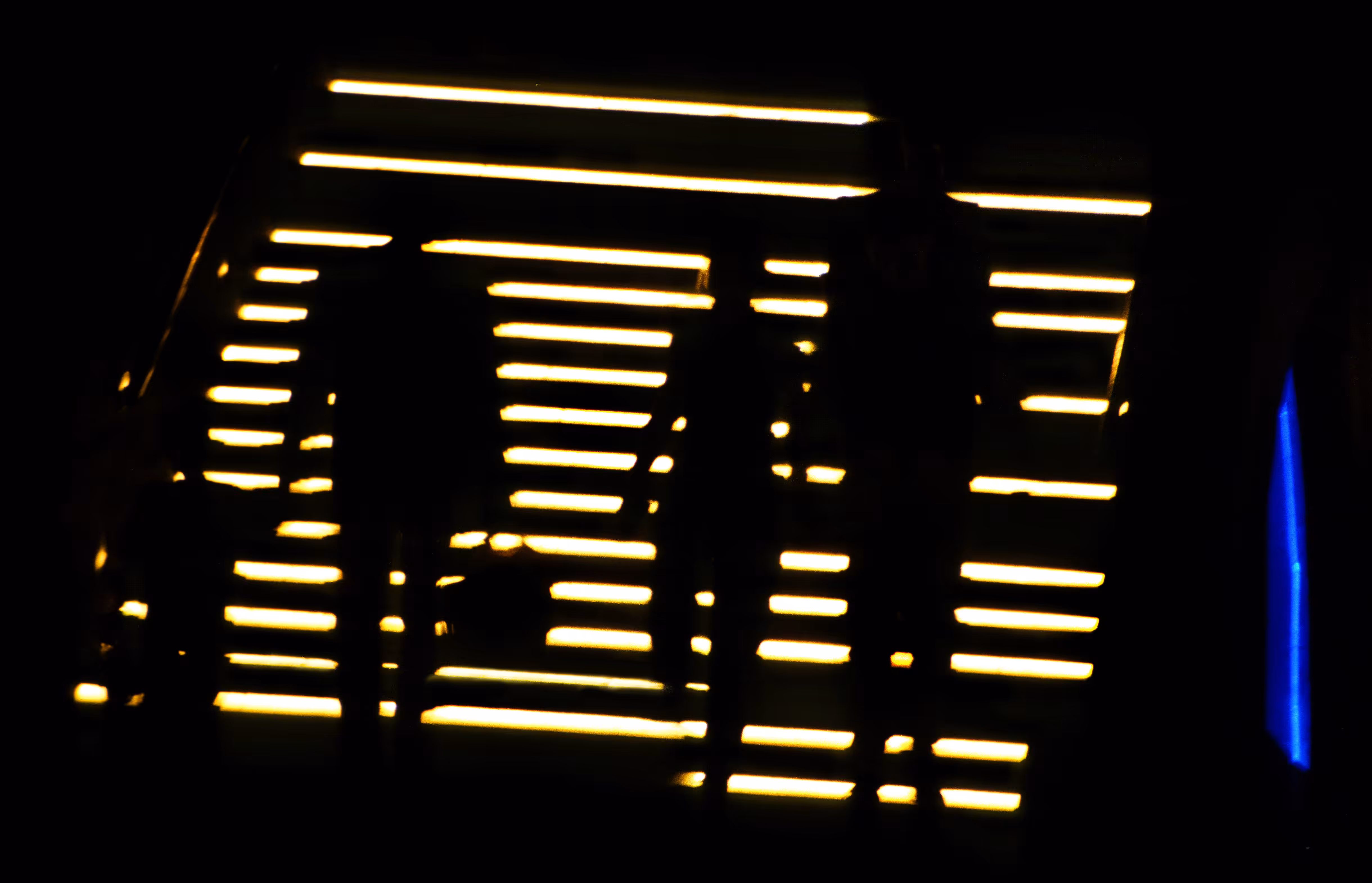 Family Night Walk