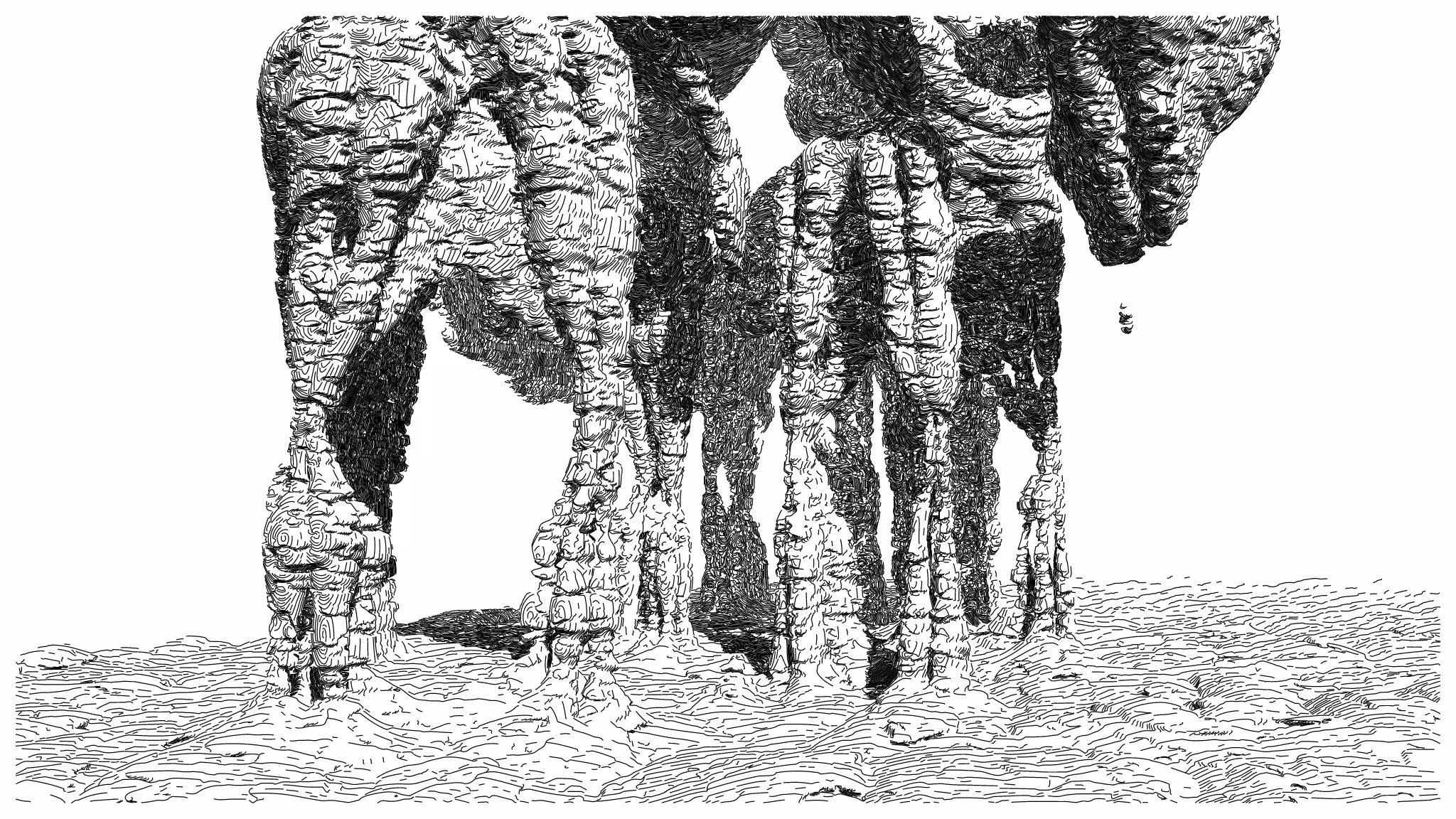 GEOMORPHISM #51