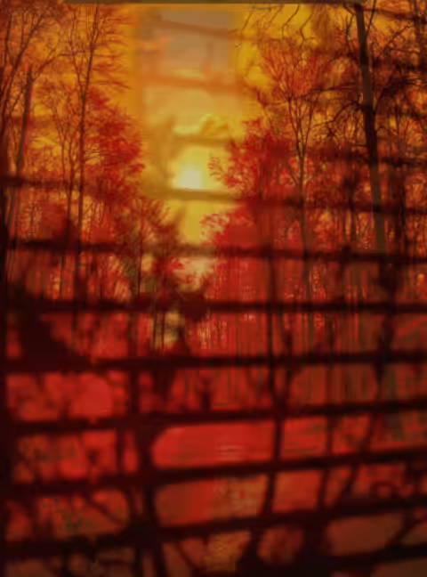Autumn sunset
