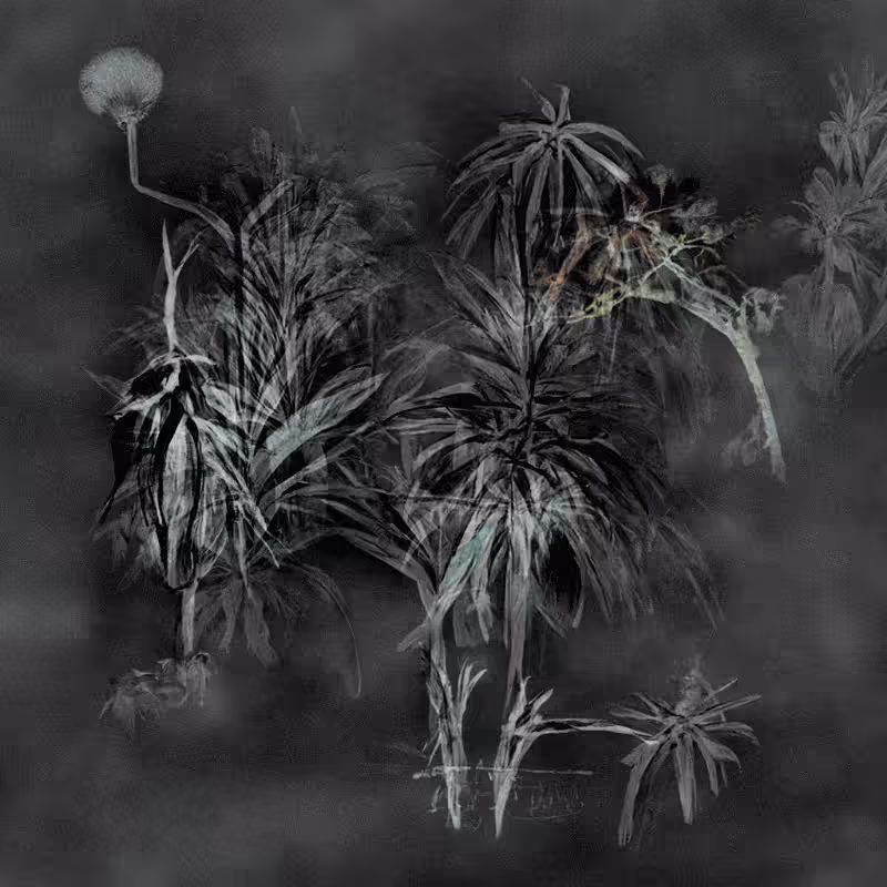 Hauntological Herbarium #28