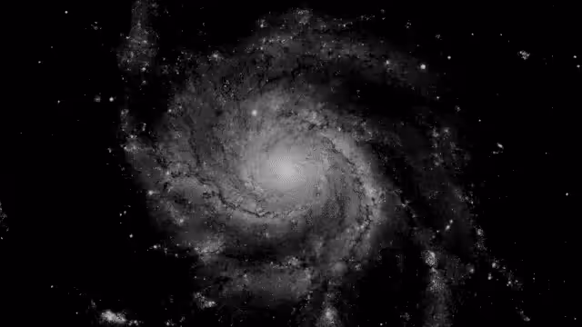 HeavenComputer: ⩼⩑⩪⩖⋠⫈∗≿∾⩂⋤⩲⋦▰ #1000024