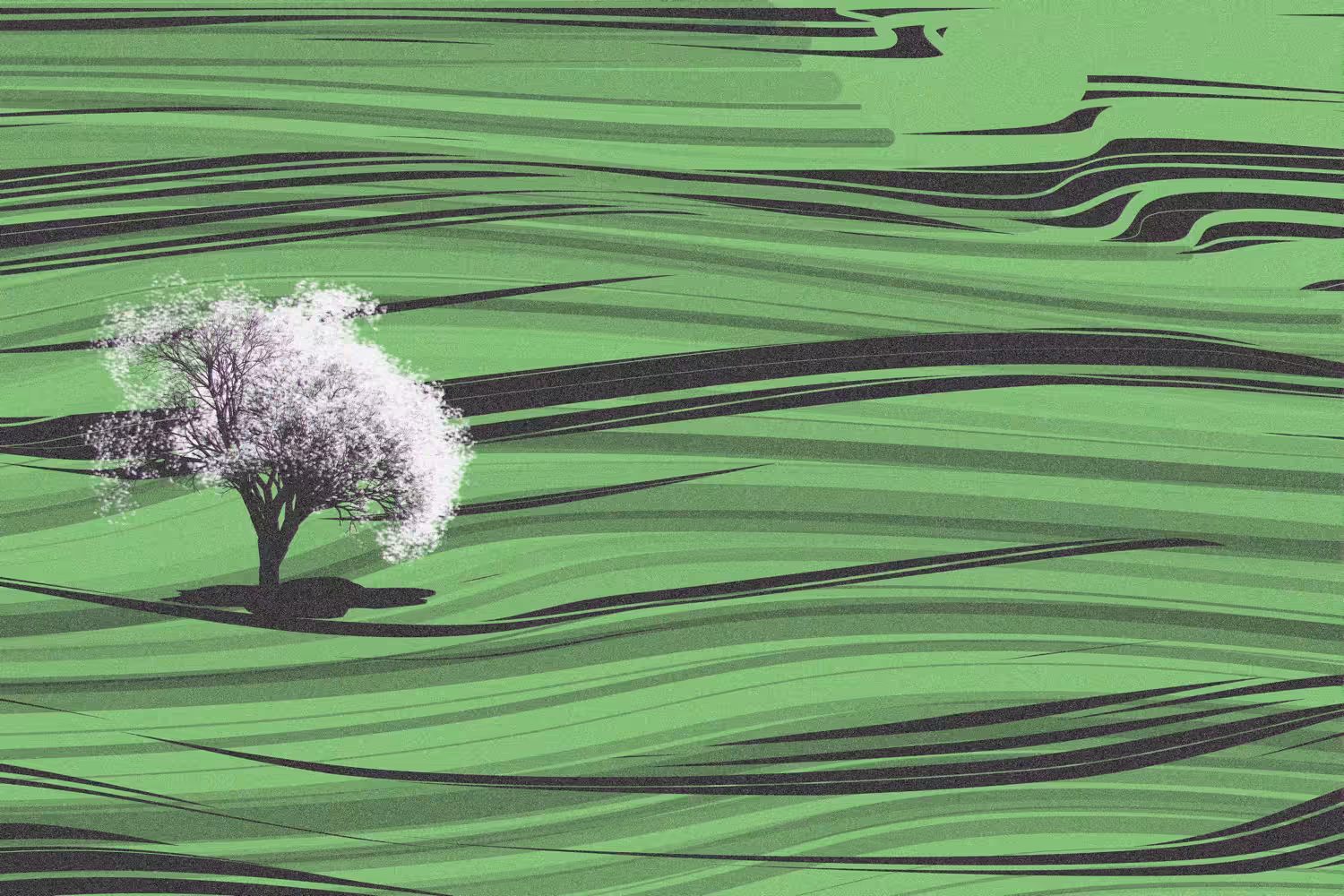 Rodeo posts: A tree in the distance