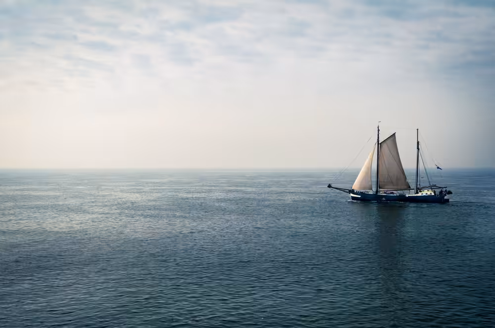 Wadden Sea #1