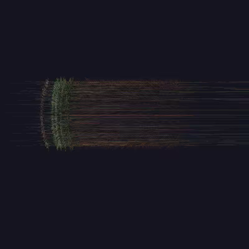 P_CD #10