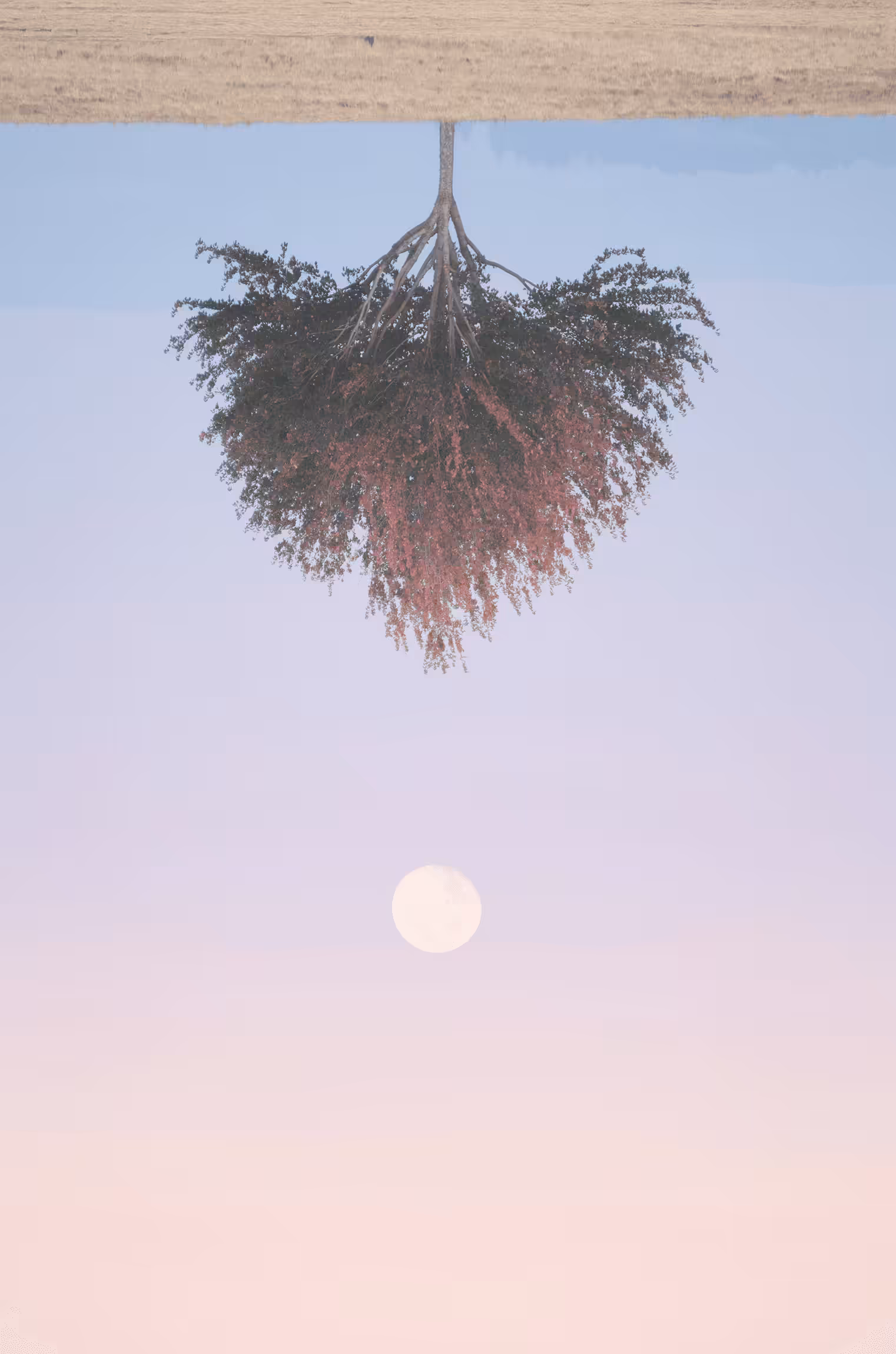 Heart String