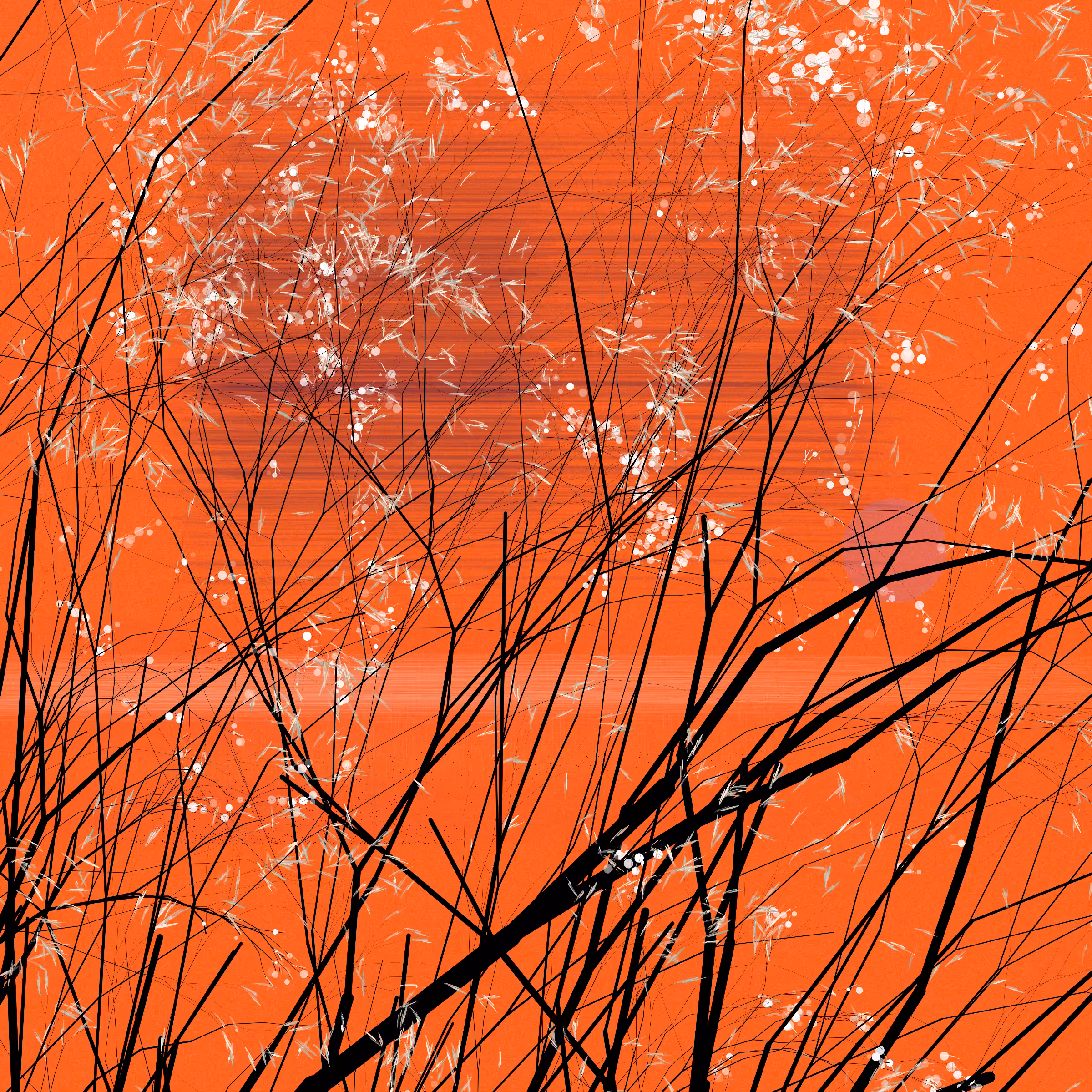 conversation with the wind #249
