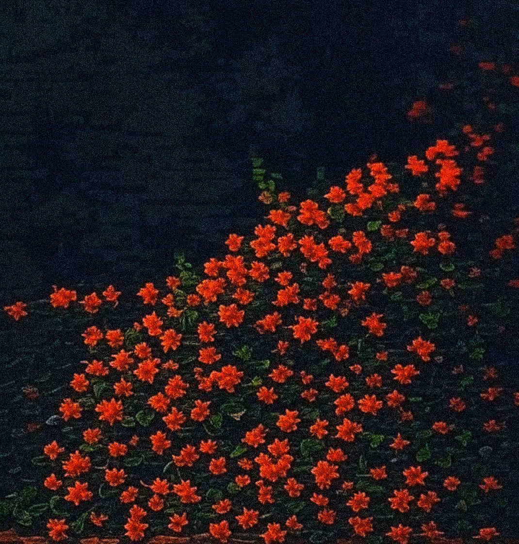 BLOOM 