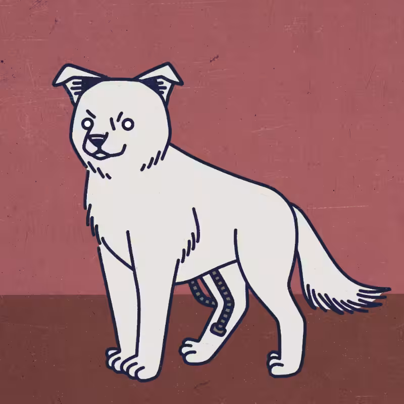 future_dogs #49