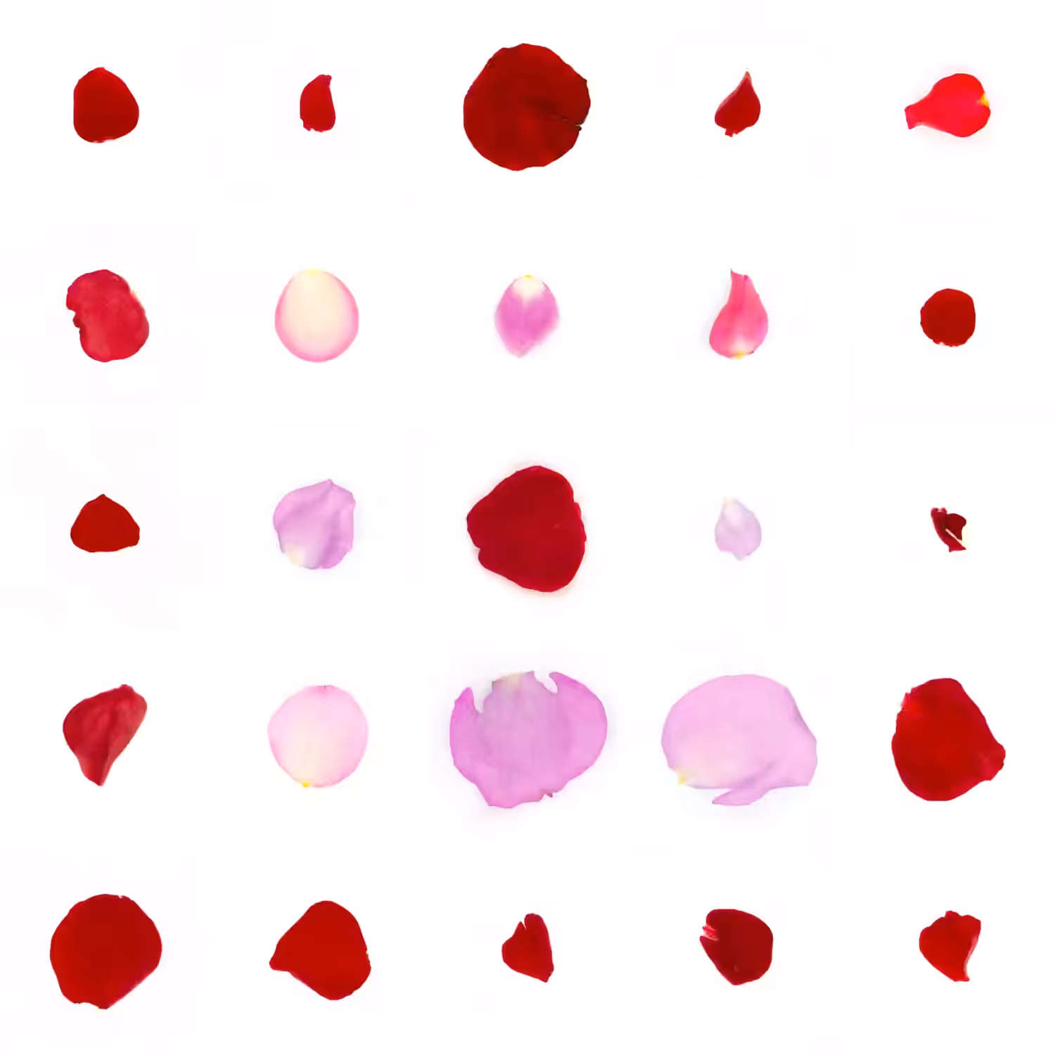 Infinite Petals 5x5#21081