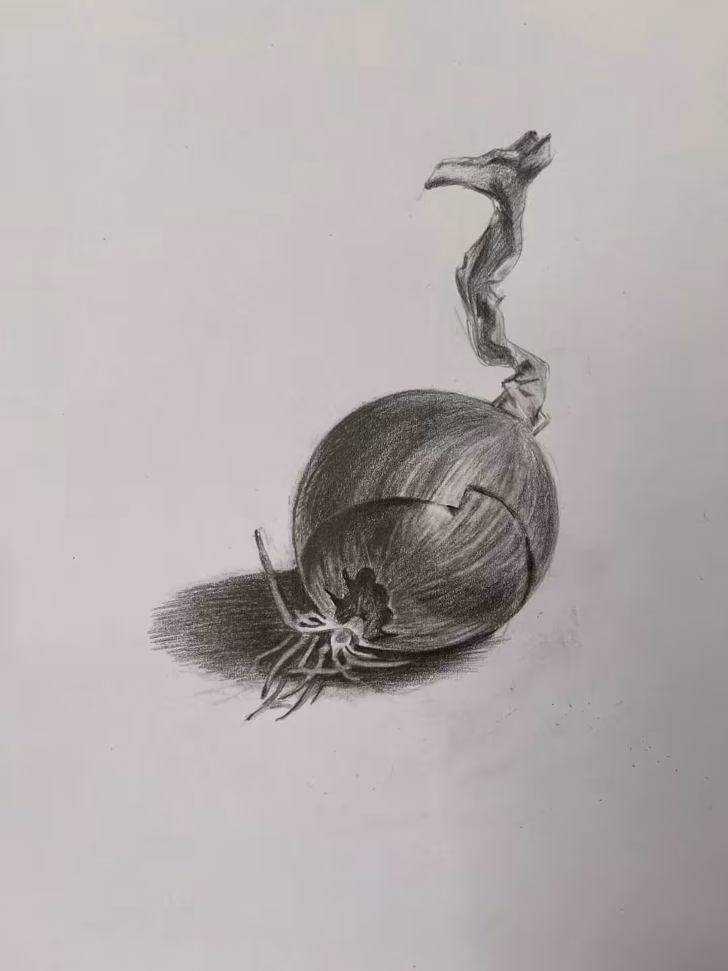 onion