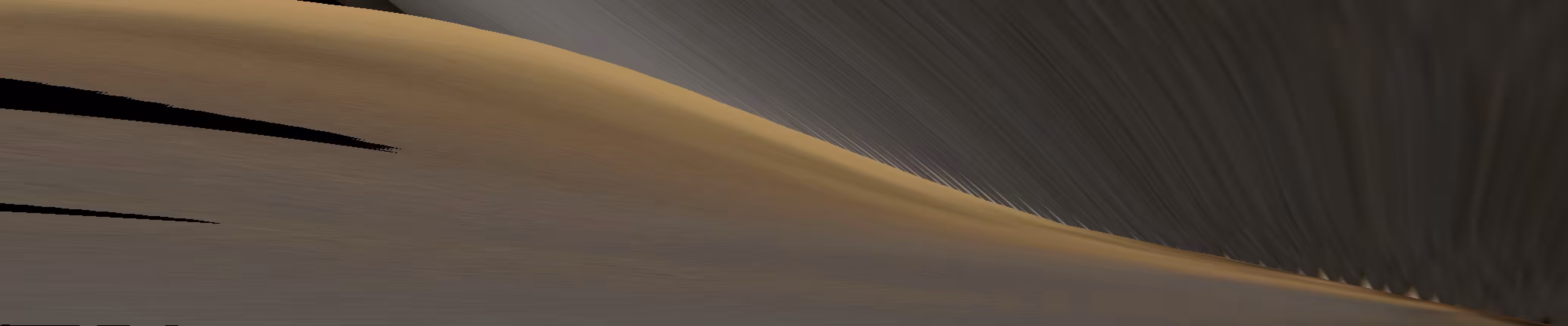 the jaw of the whale