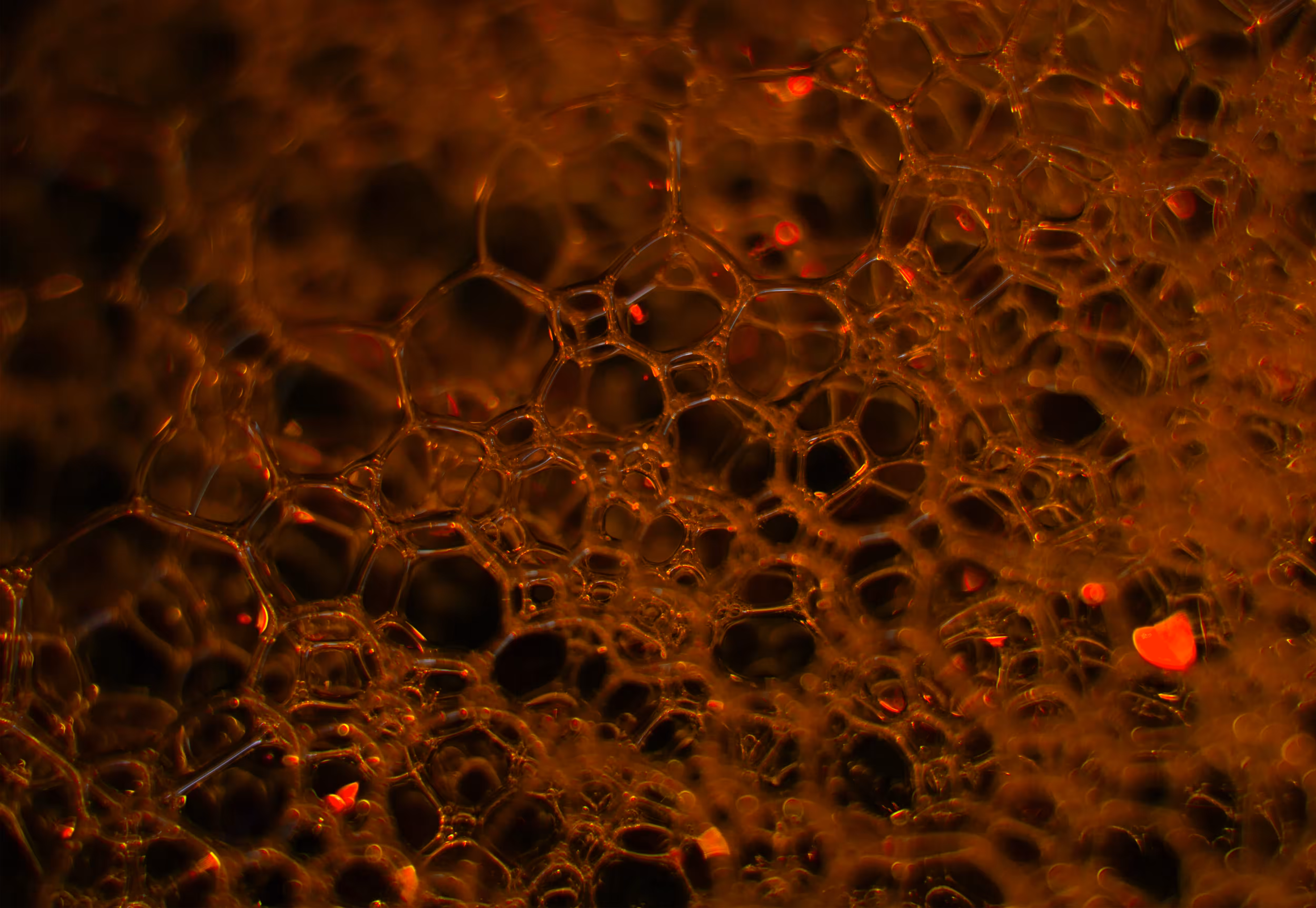 Abstract World of Soap Bubbles: #106 Bubbles