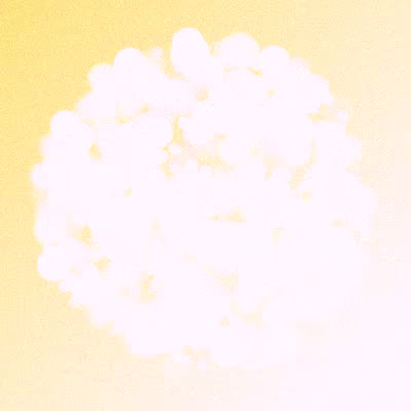 Furbol #808
