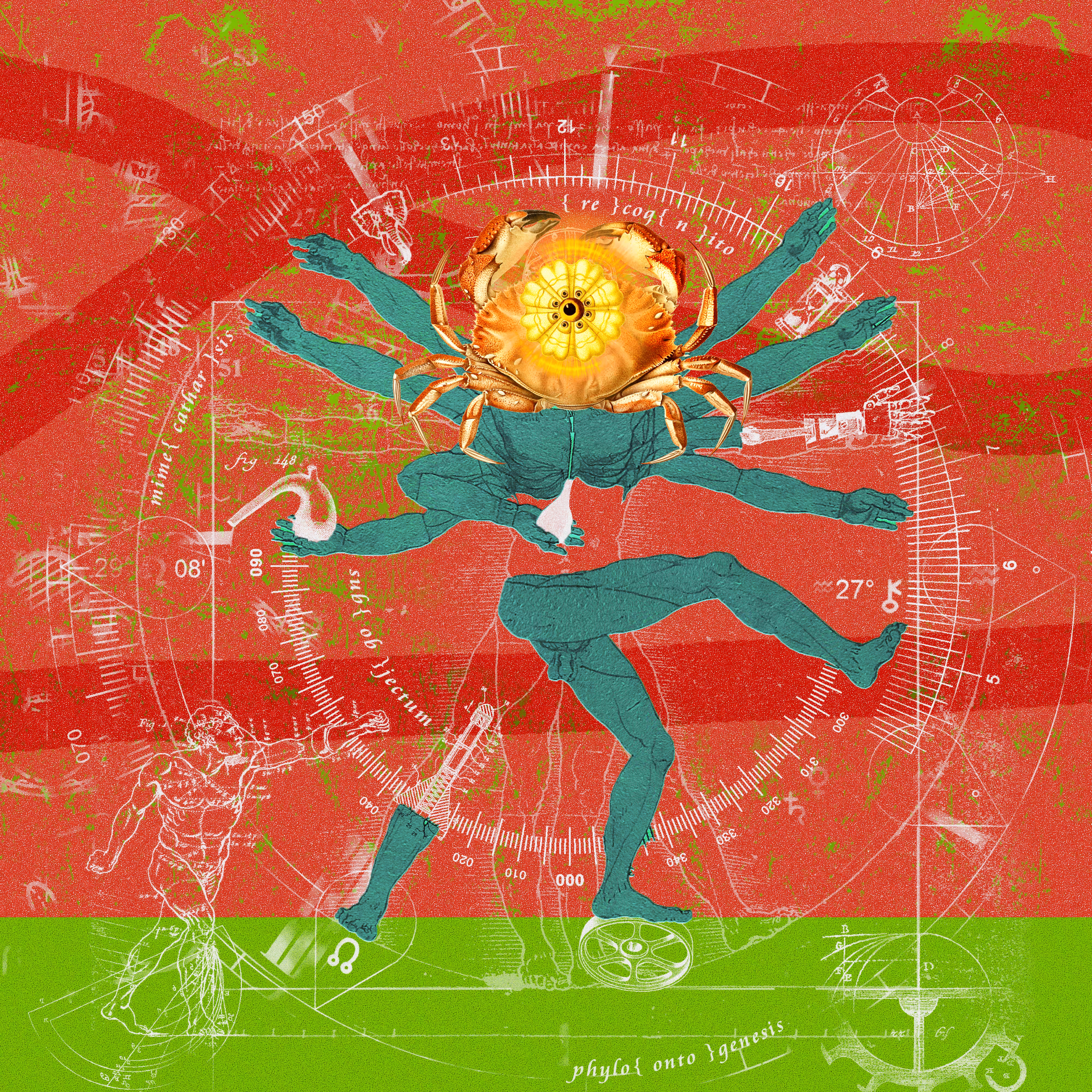 Pataphysical projectory C.1992 Fig.1