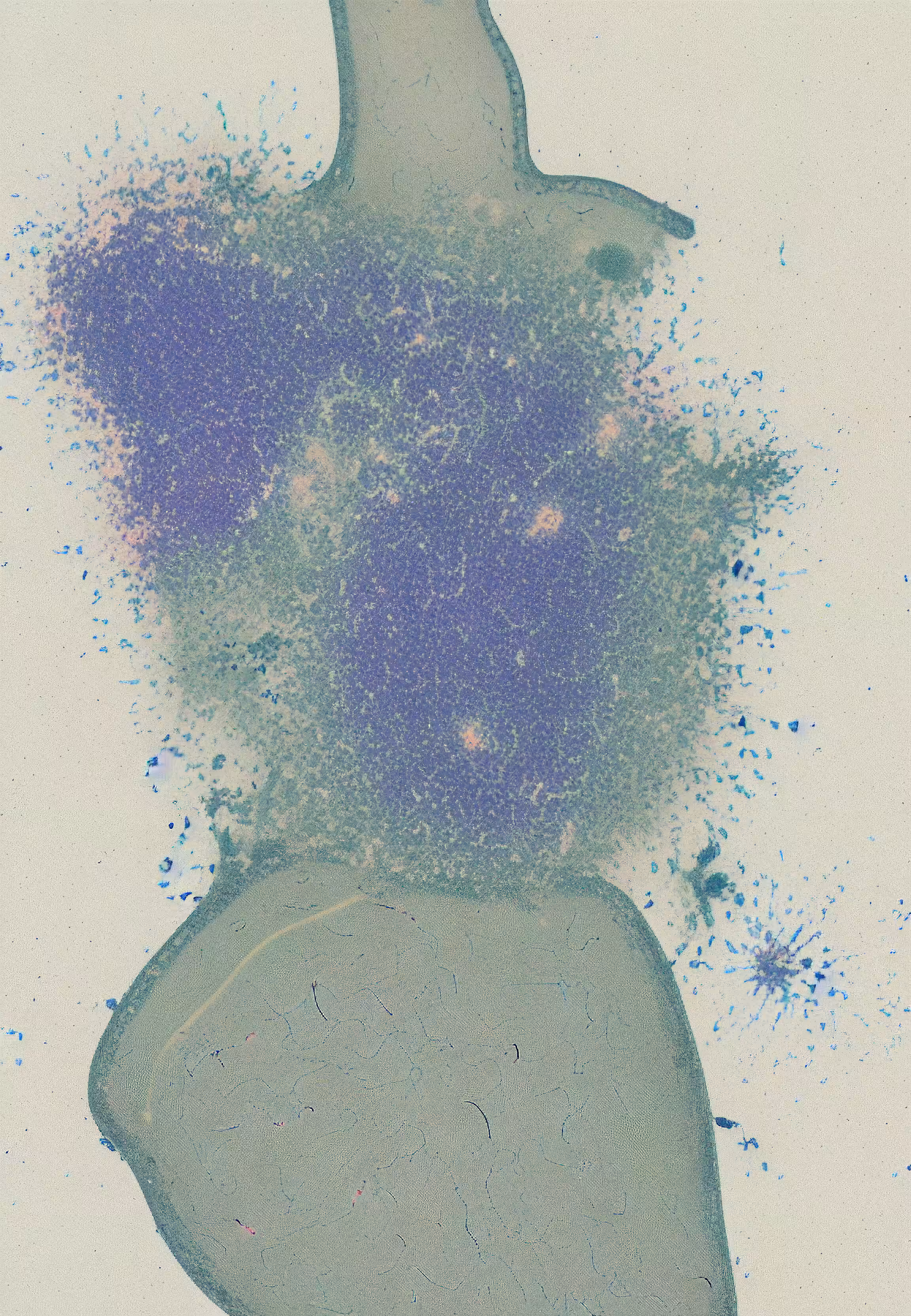 Histologia In Silico #143