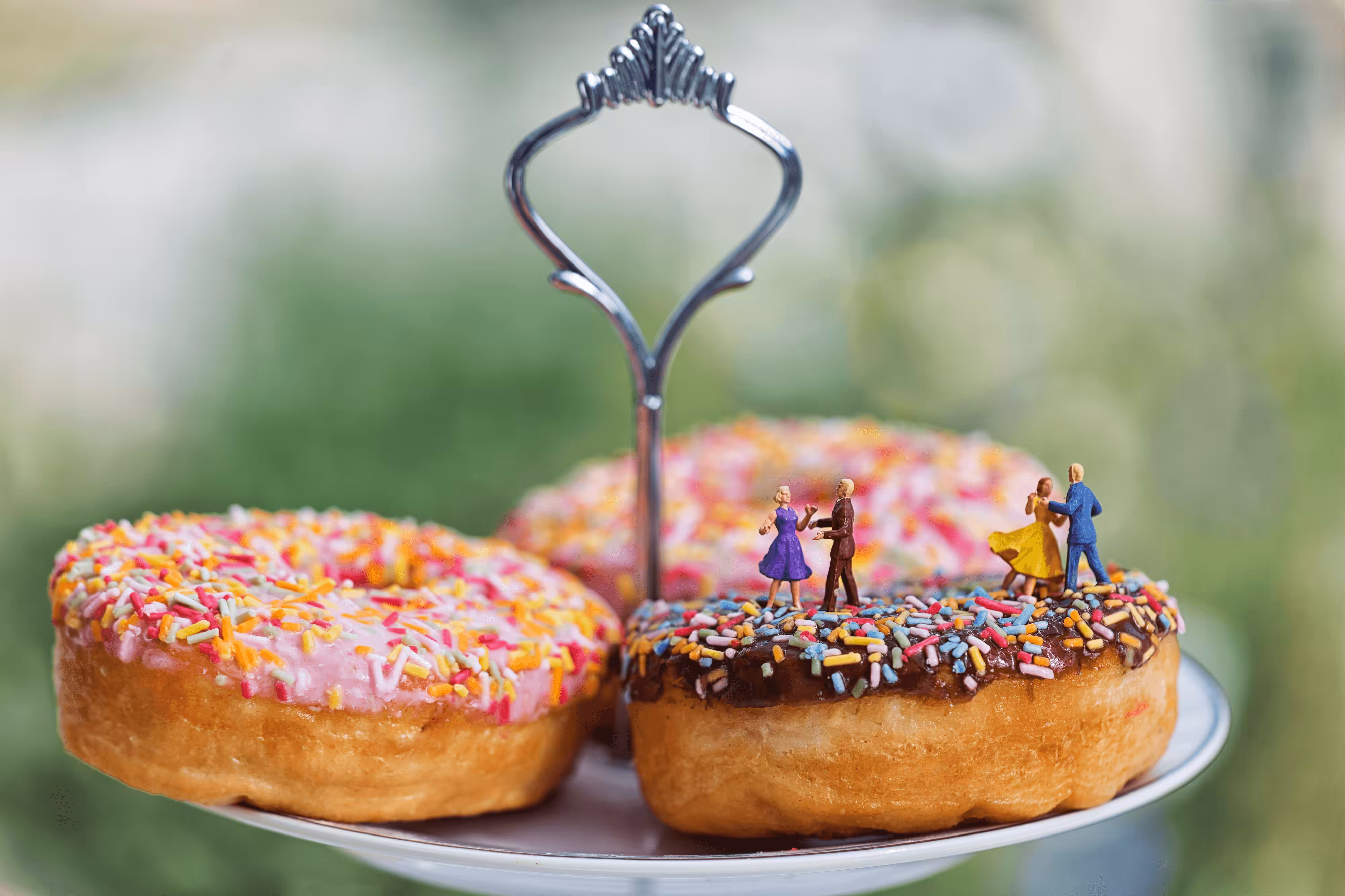 Strictly Sprinkles