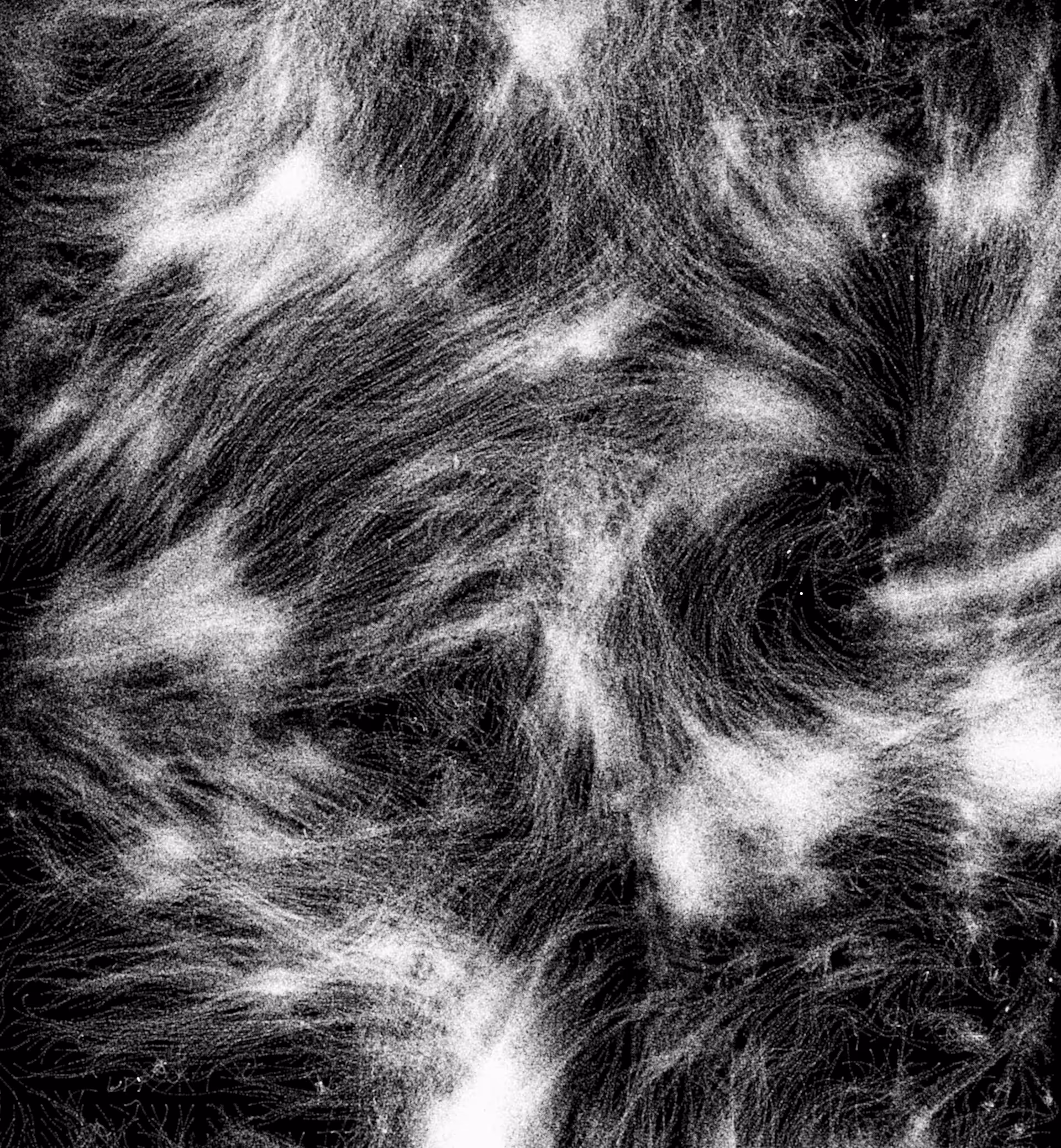 Storm #1