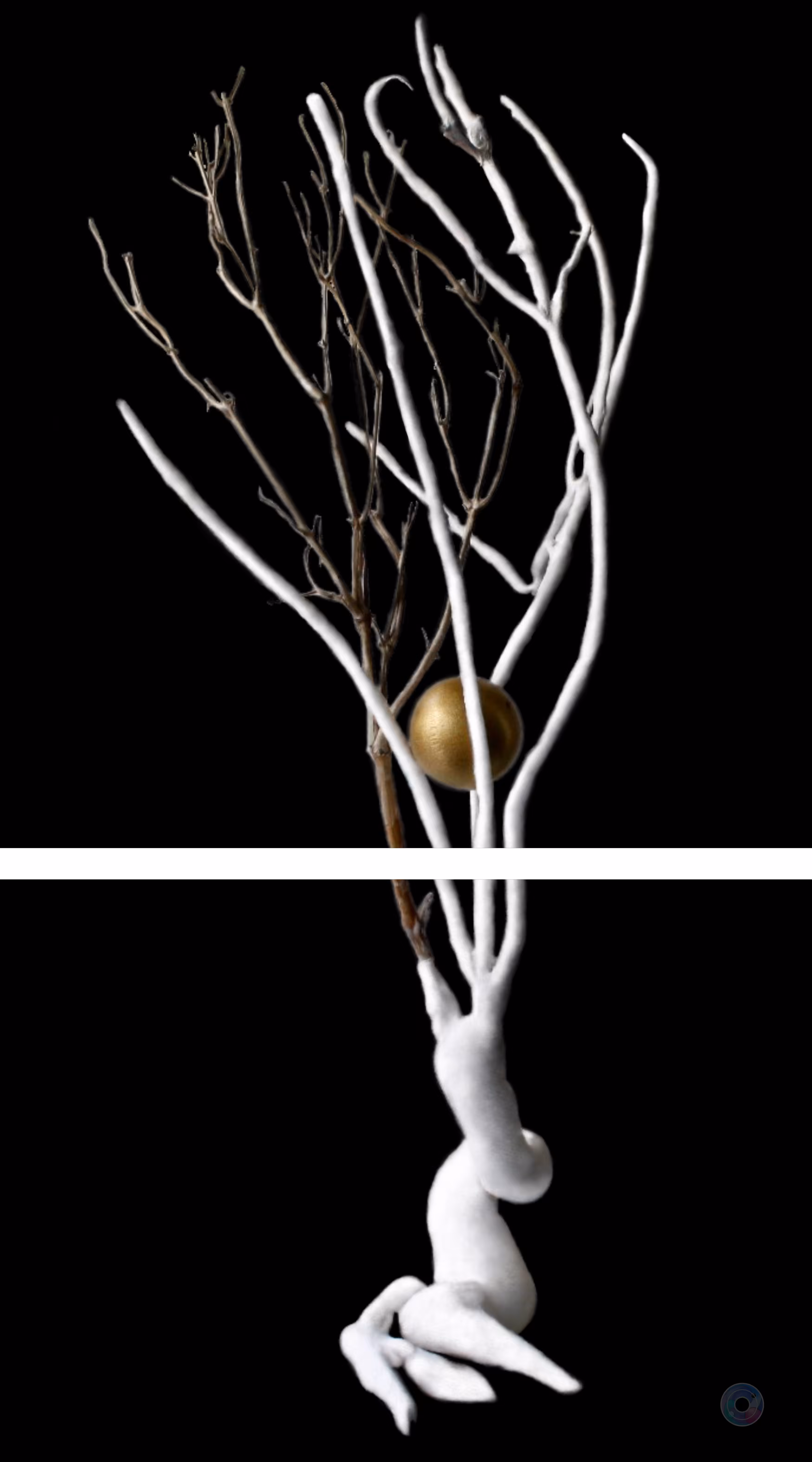 Twisted hope