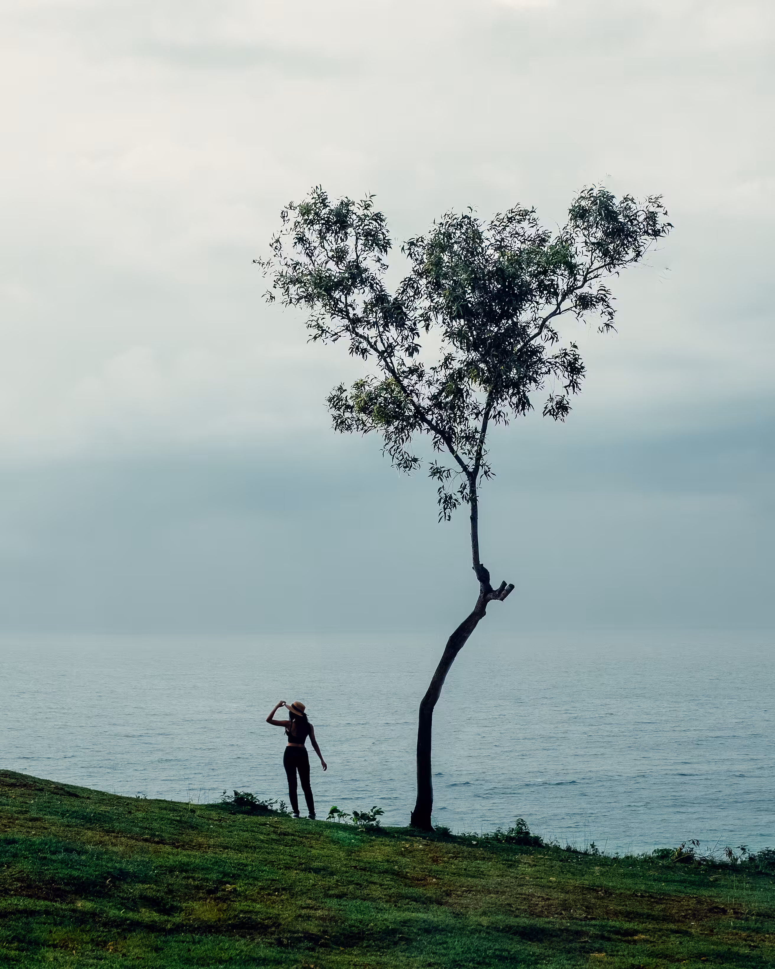 solitude