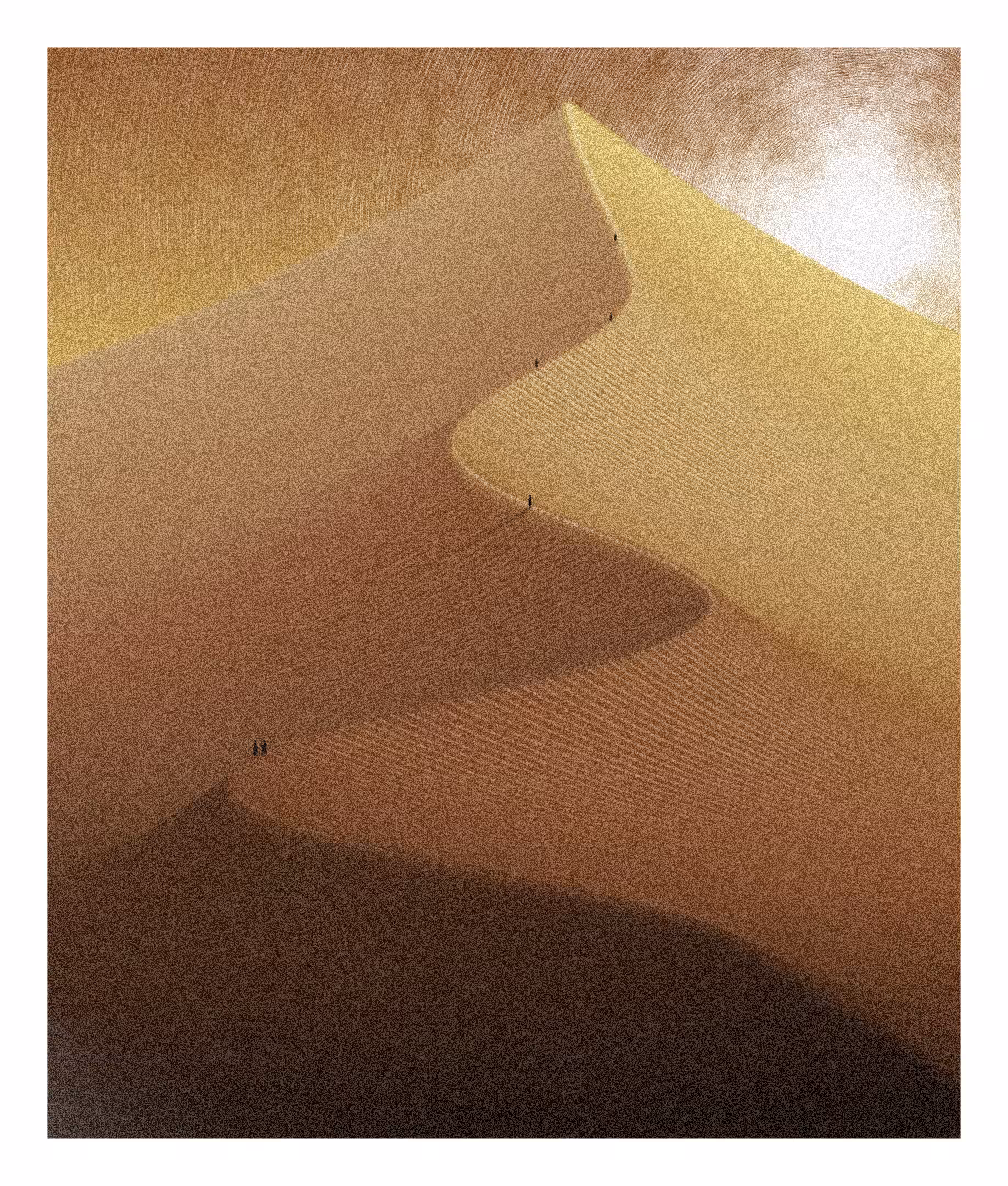 Stride #243