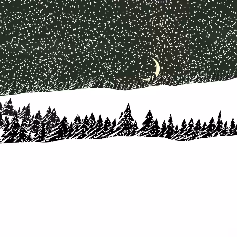 Winterland #203
