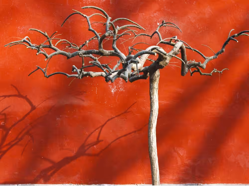 Red Series#2/8