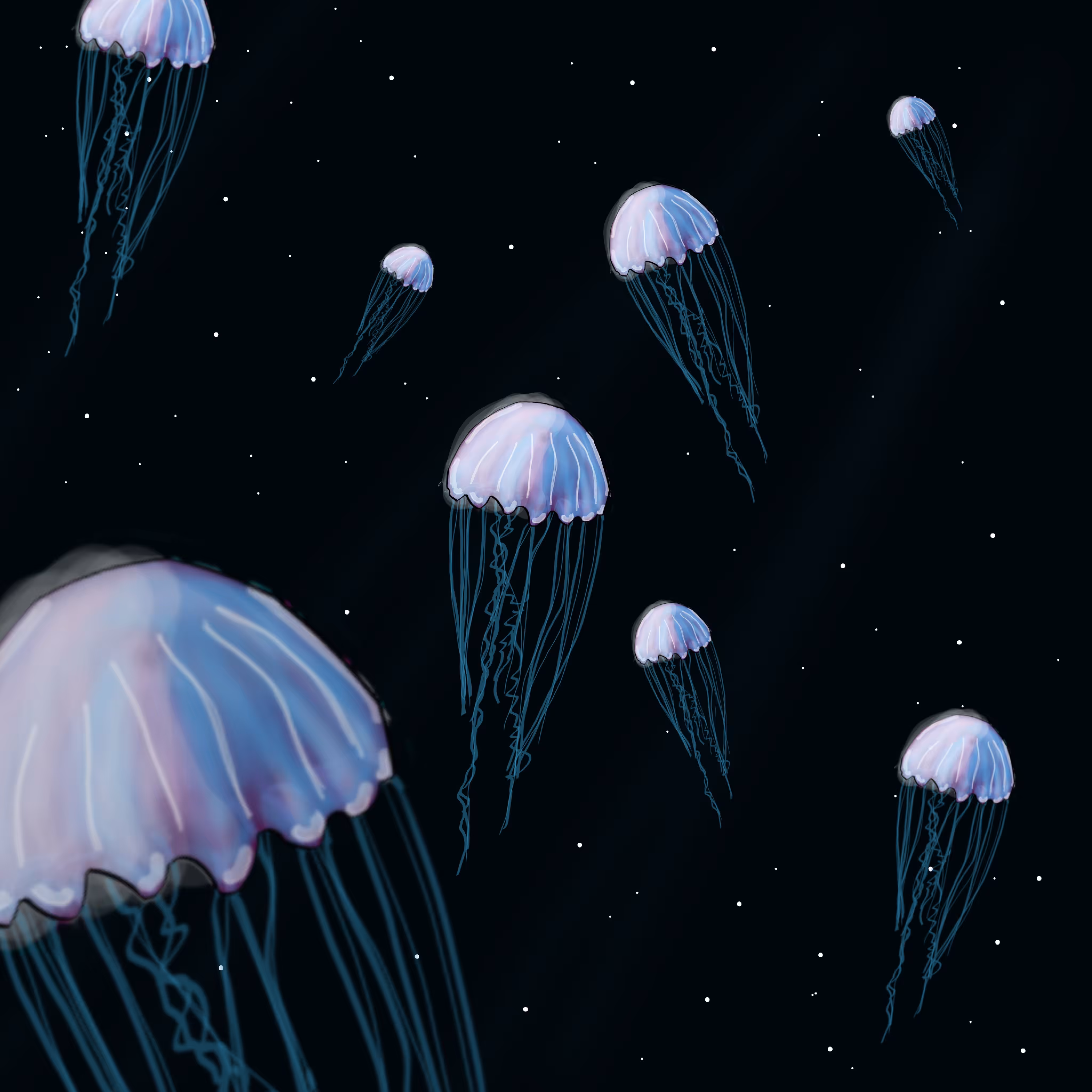 Fly Me to the Stars, 001 the Jellyfish Series