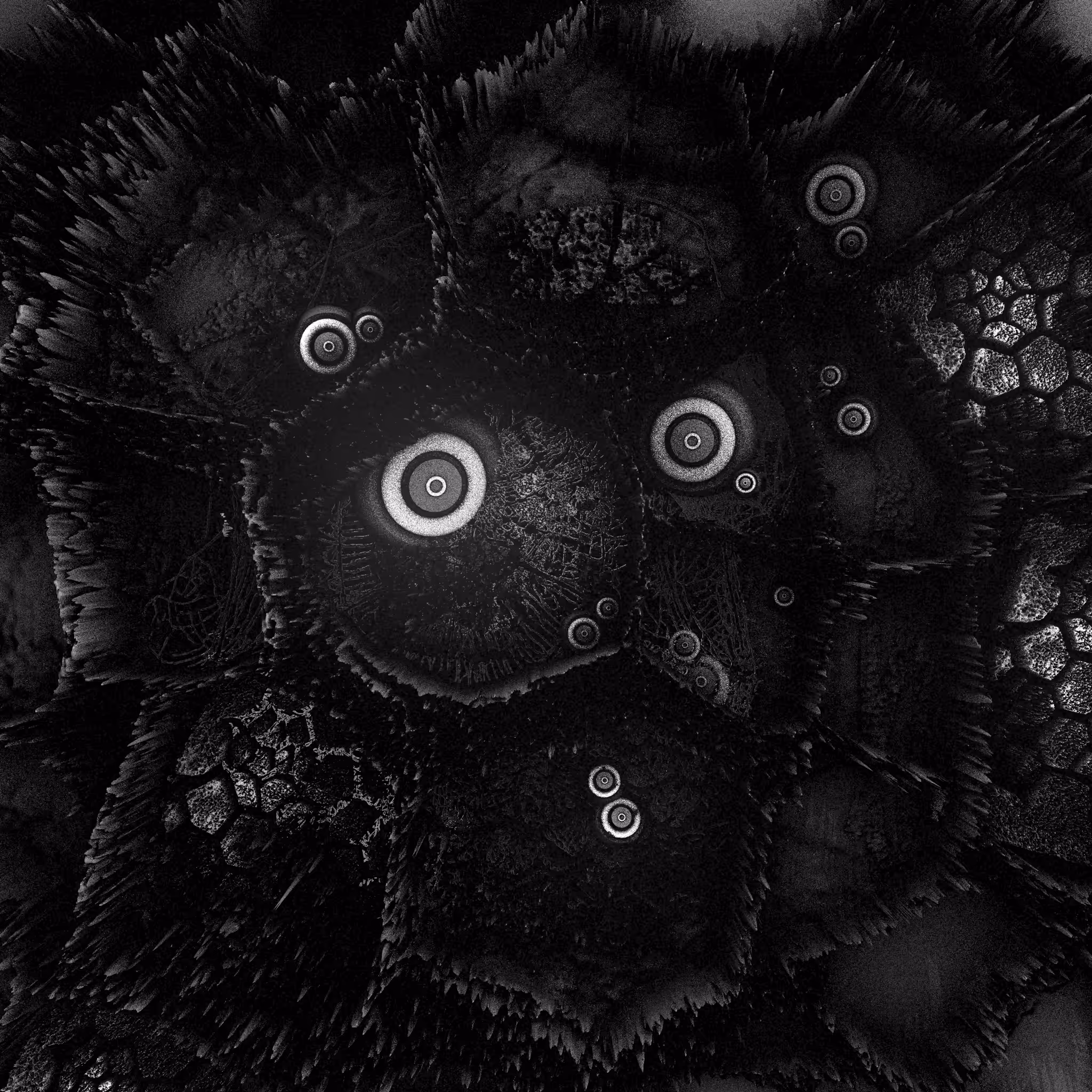 Grainy Days - The Stare II