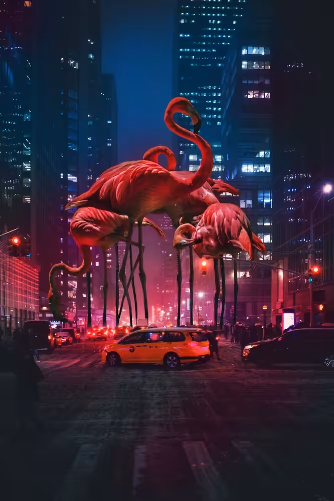 Flamingos in the Steeets #4