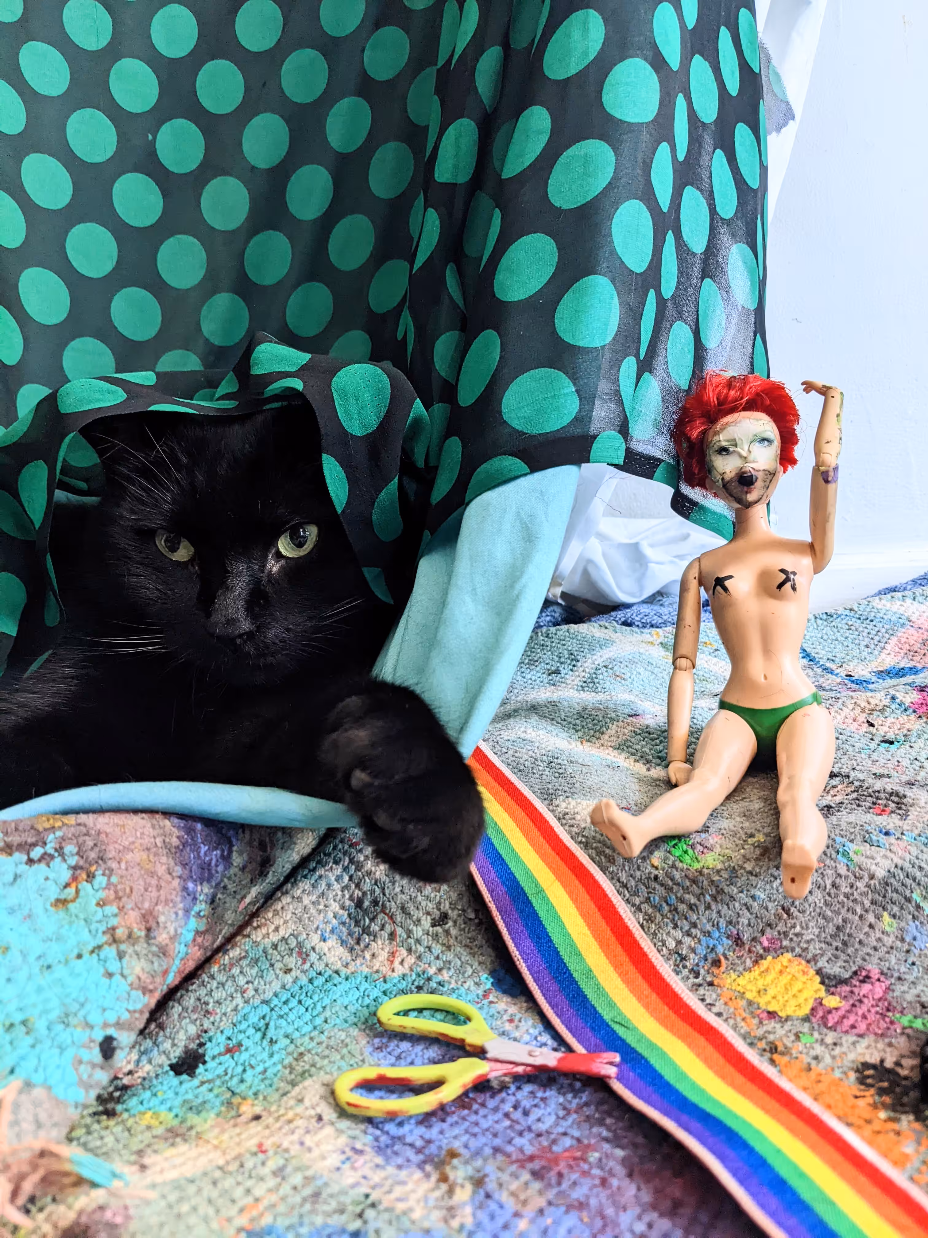 Cats on Set 1