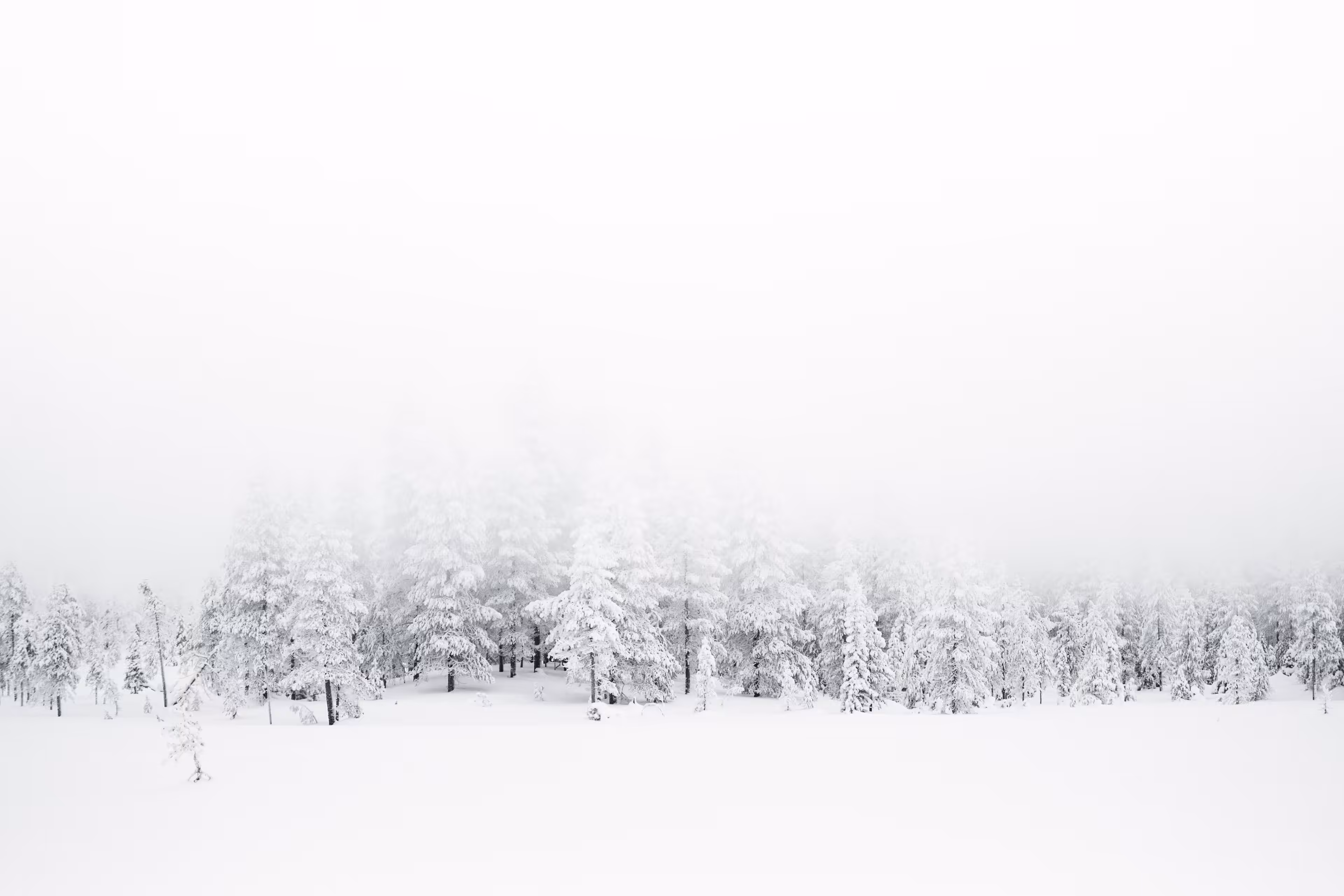 Fog