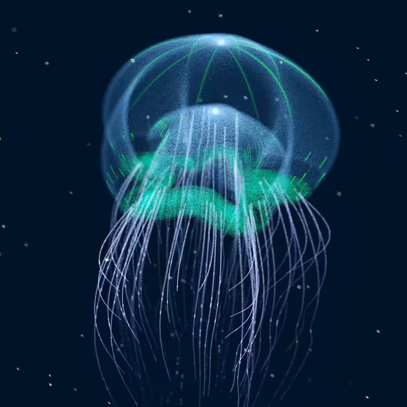 Creatures of the Deep #1 - The Jellyfish #9