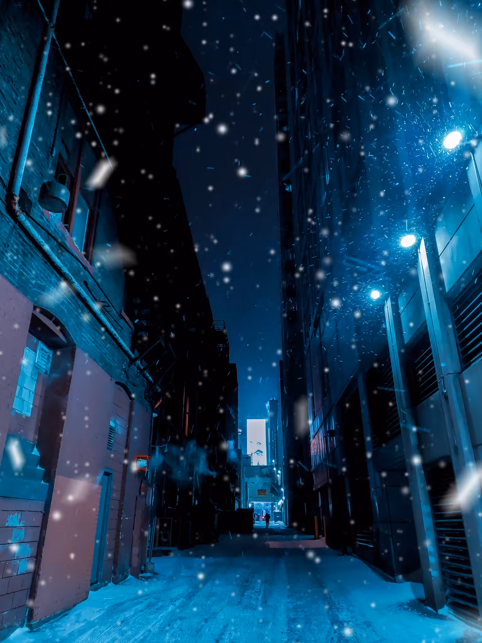 Dark Secrets, Cold Nights