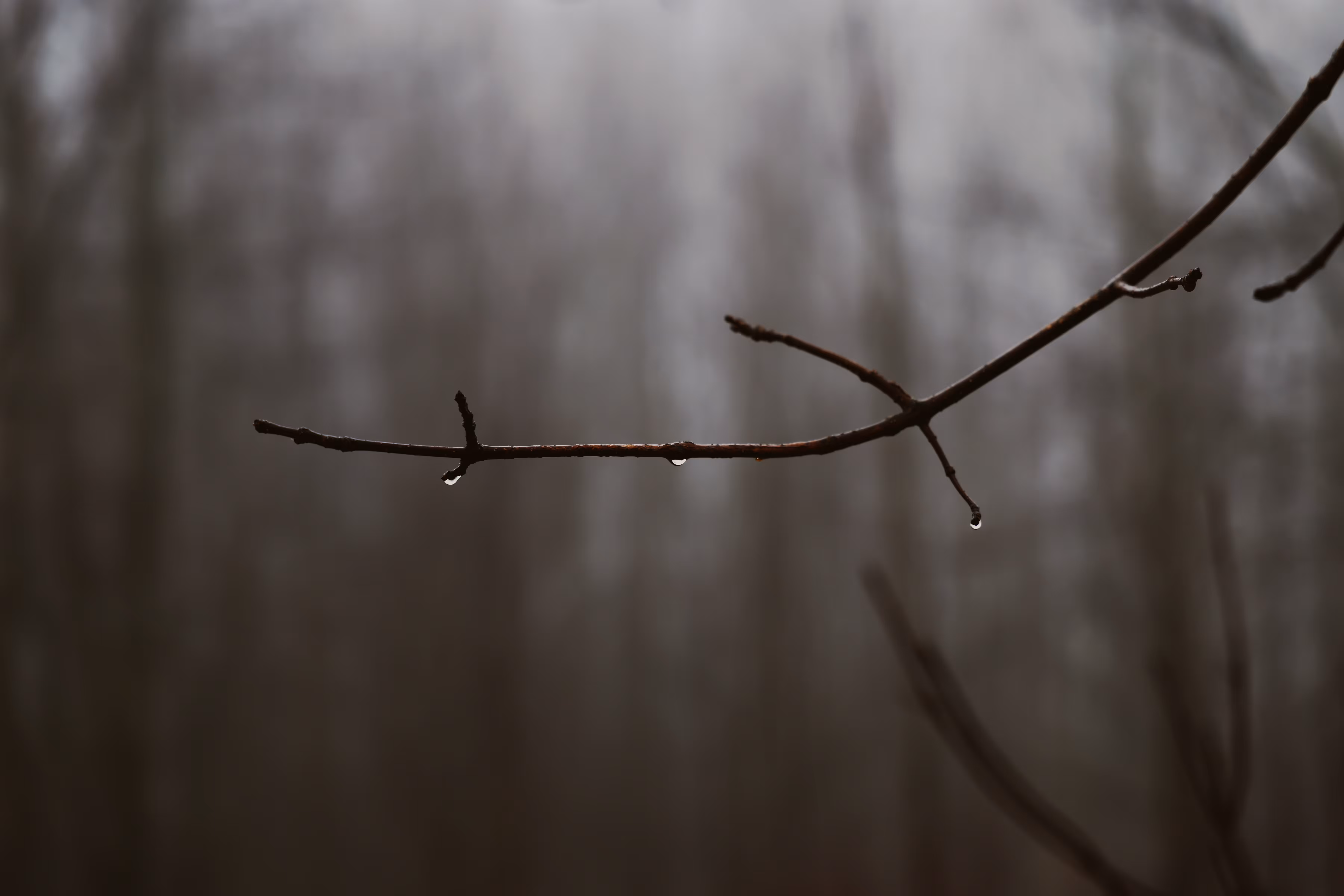 _outlines and whispers