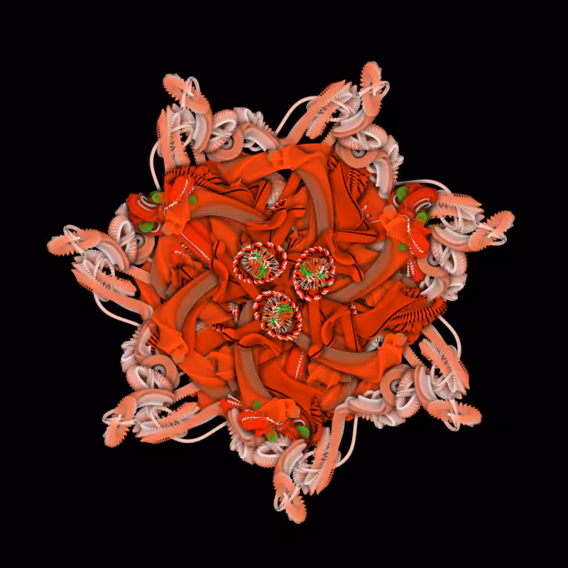 char-mandala-bts #2