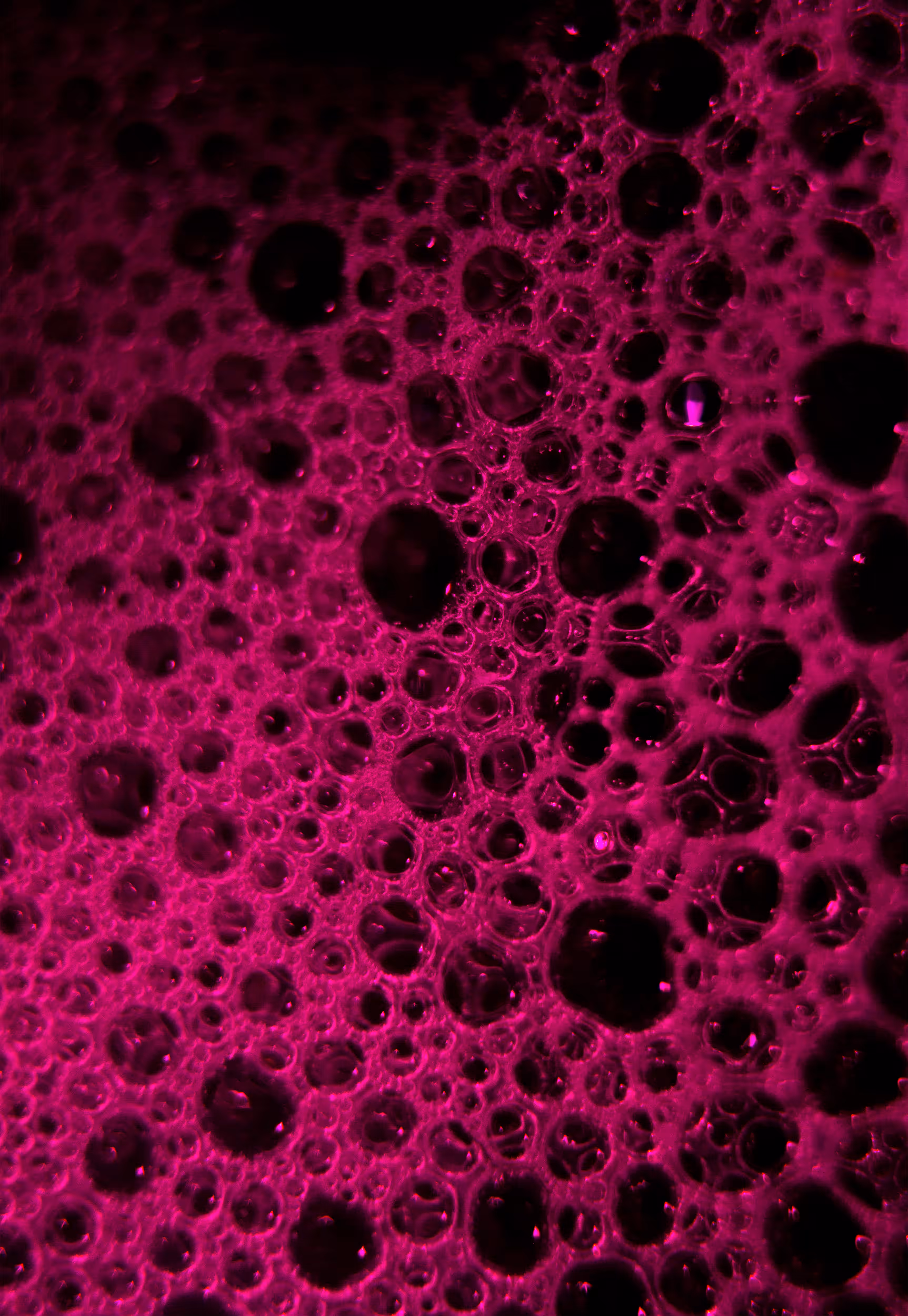 #147 Bubbles