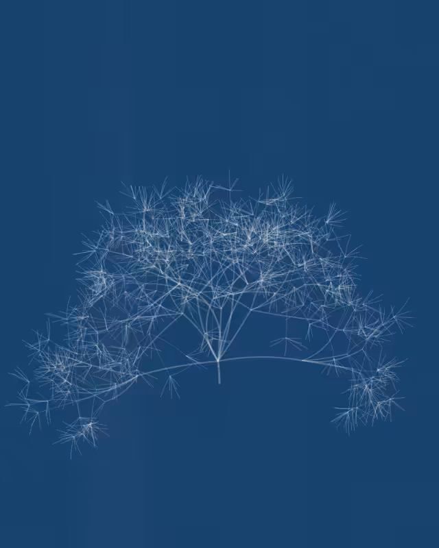 Cyanotypes #59