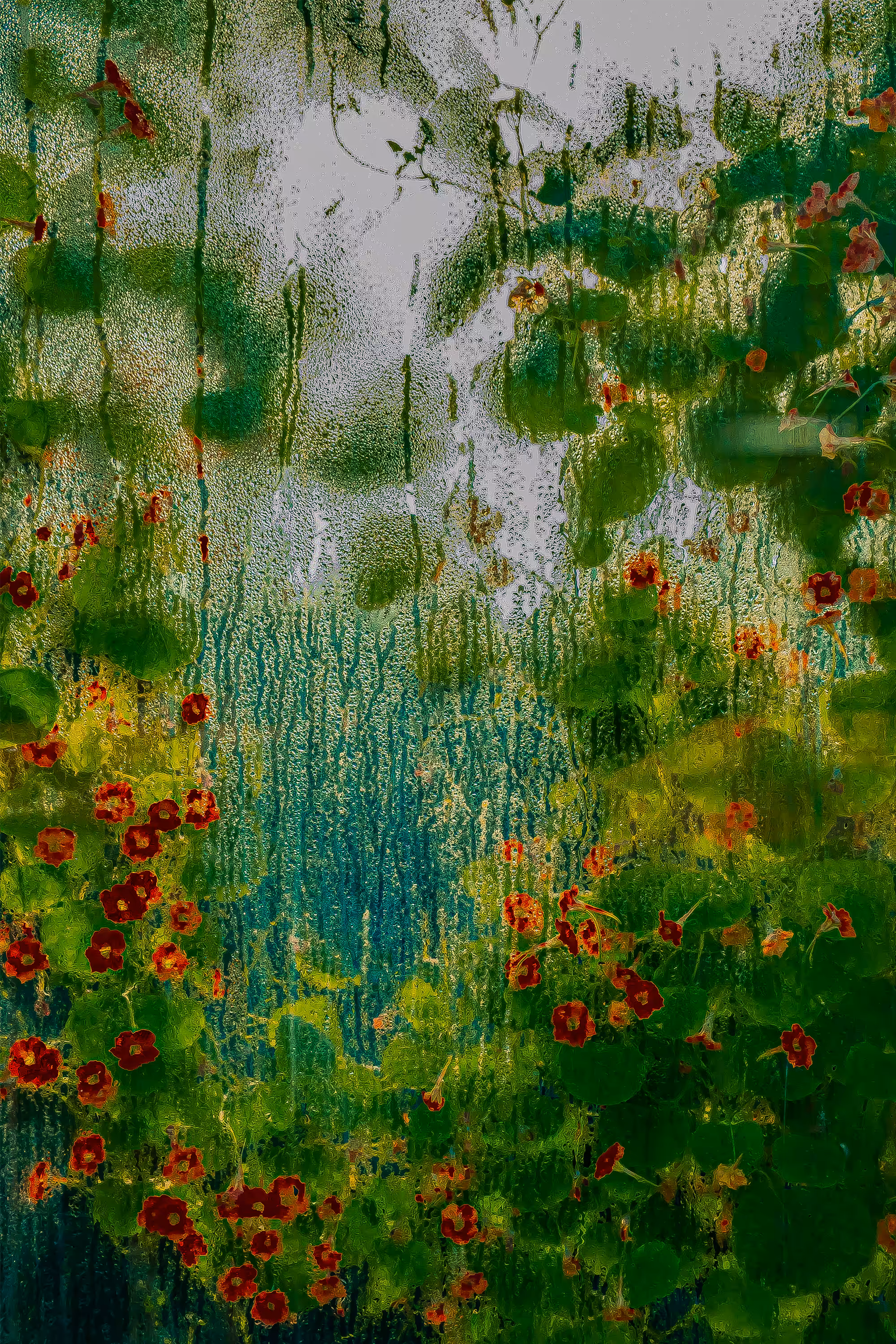 Greenhouse • 1