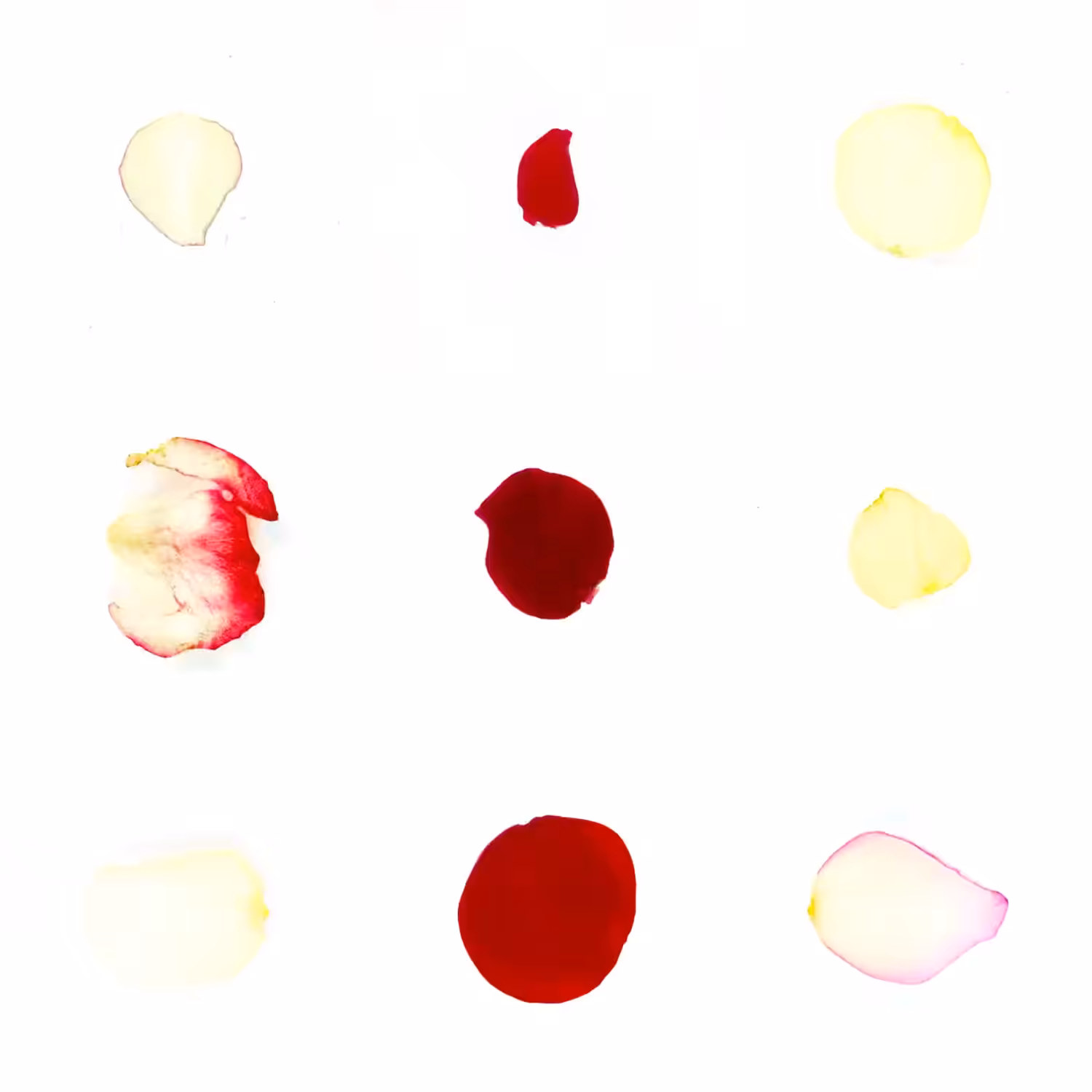 Infinite Petals 3x3#2470