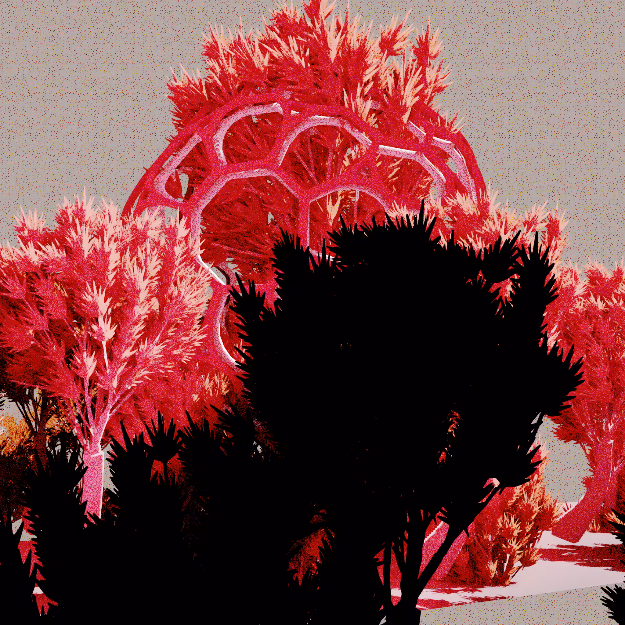 Urban Flora #449