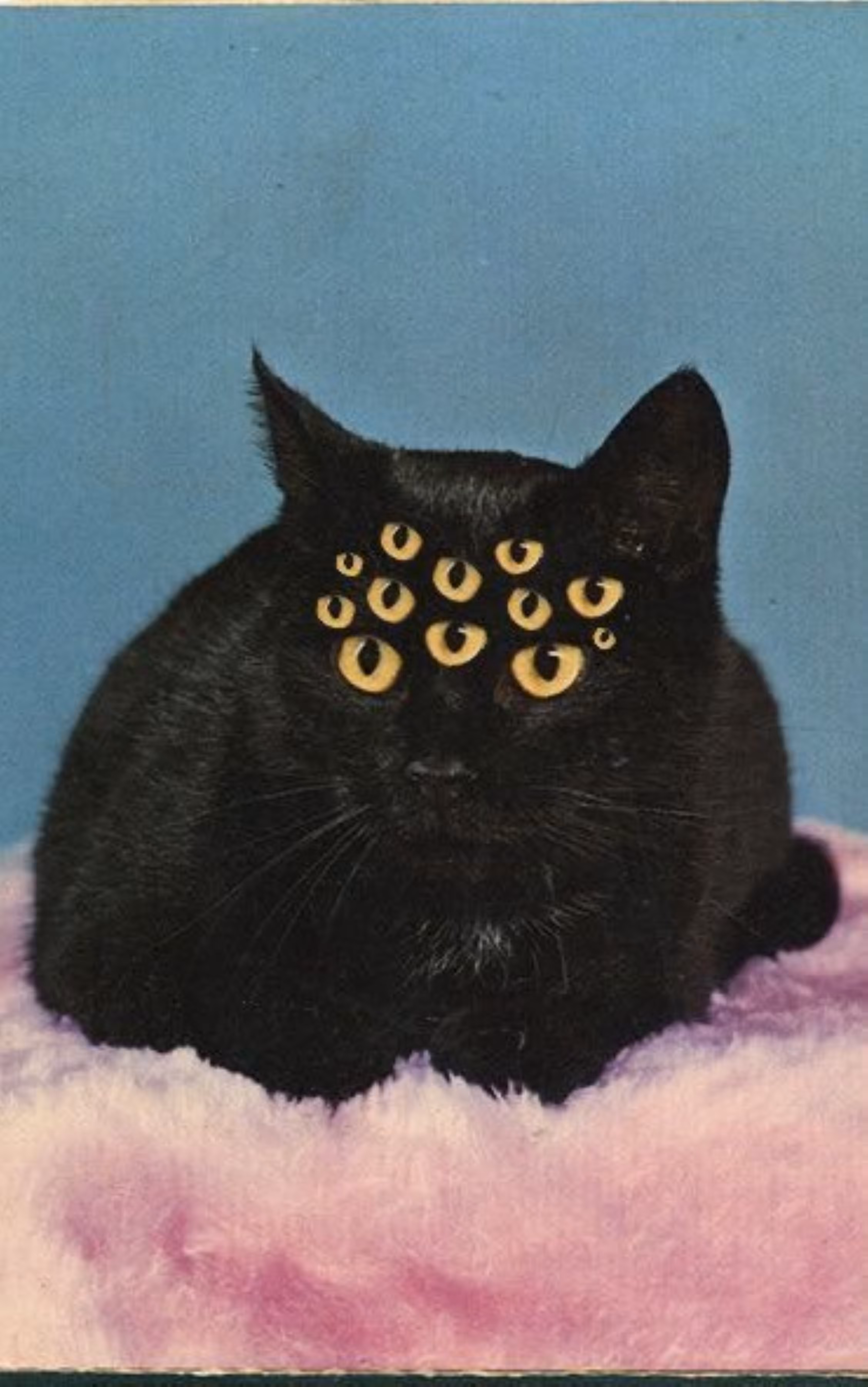 9 lives a thousand eyes