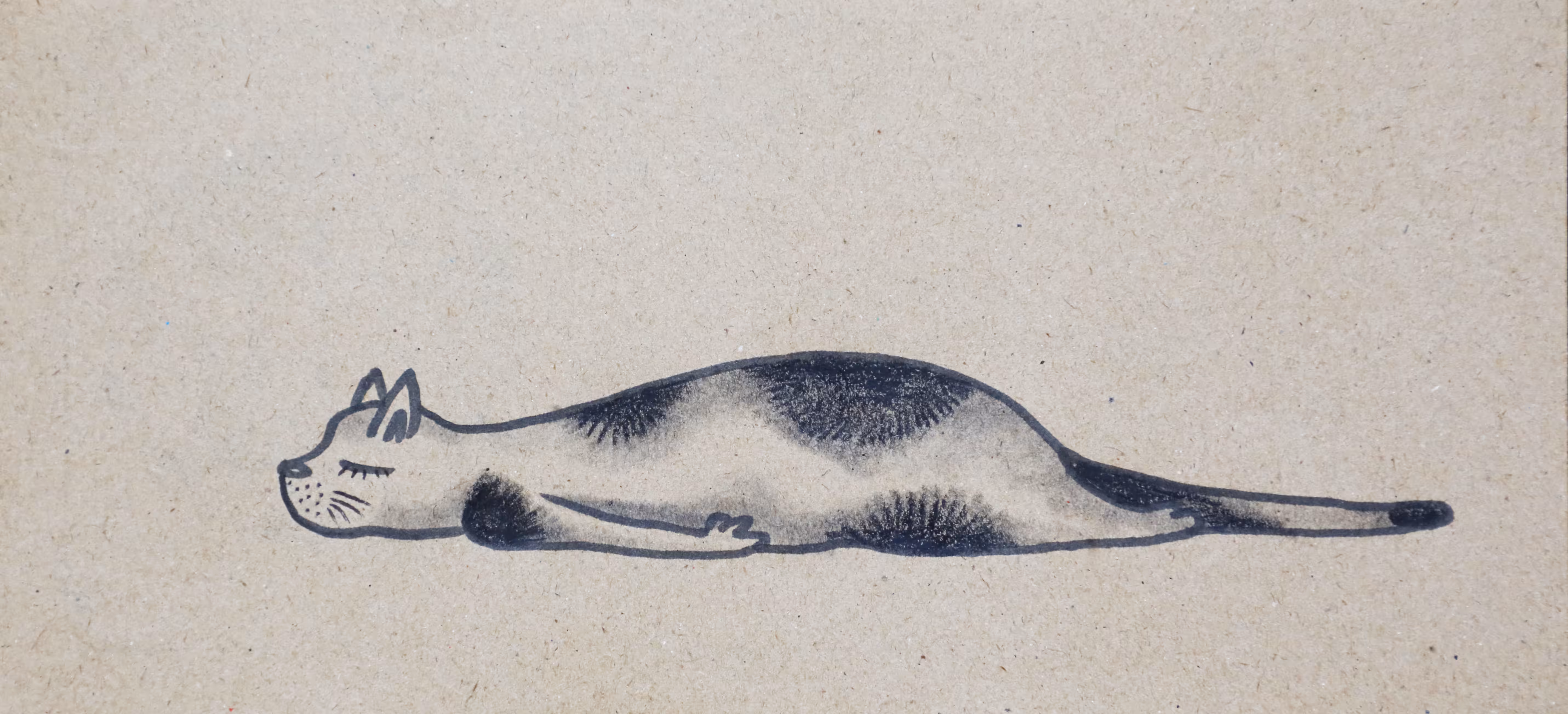 #2 Sleepy Cat