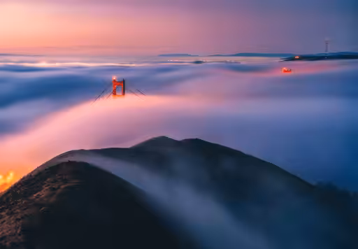 Bay Beginnings #1 // Low Fog Delight
