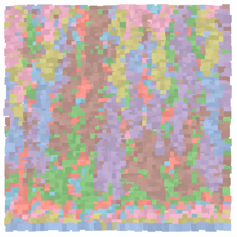 Excess #7