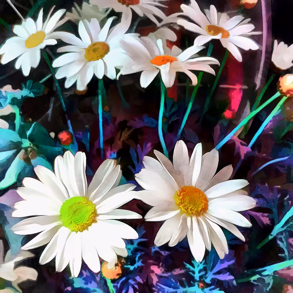 Favorite Flower